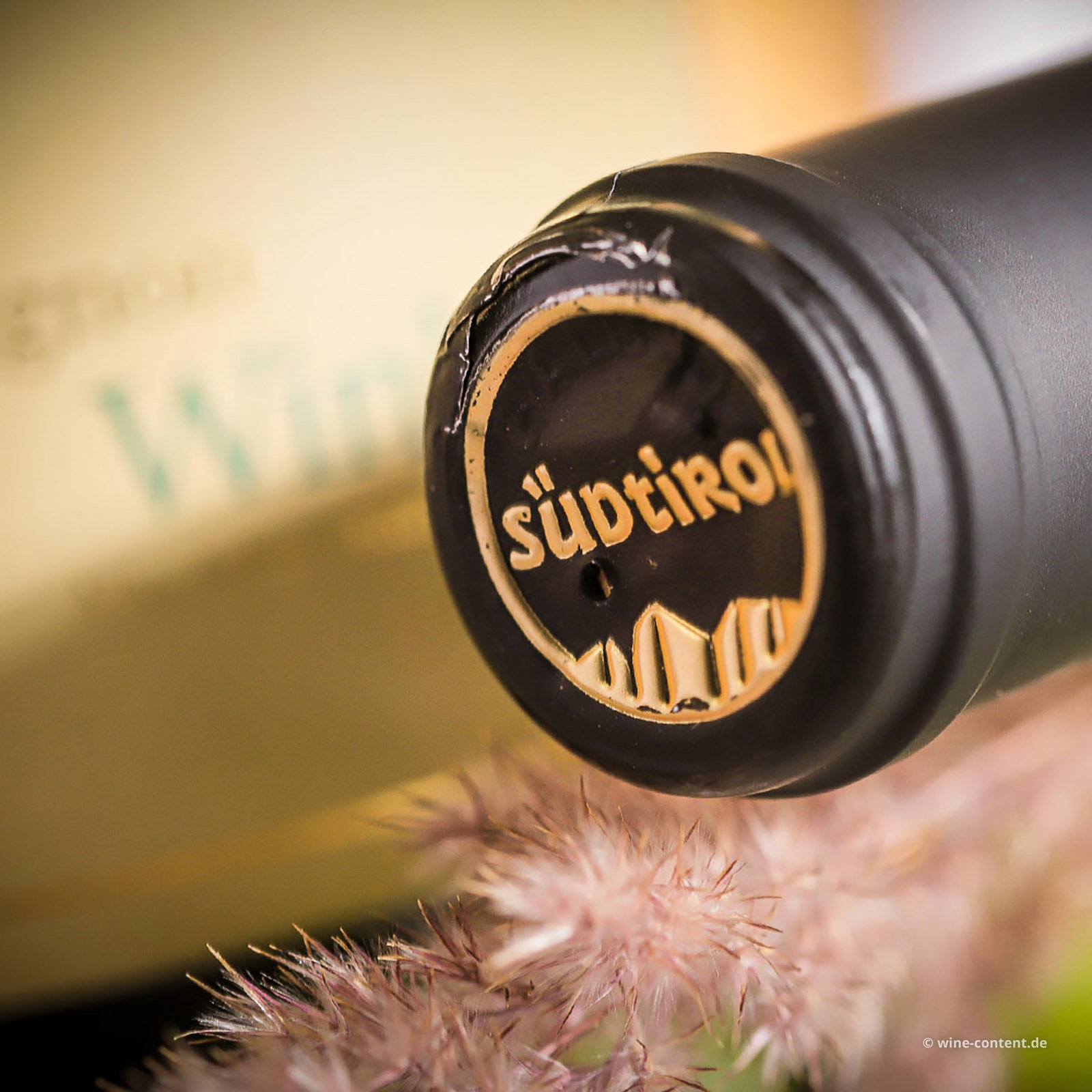 Sauvignon Blanc 2025 Spargel