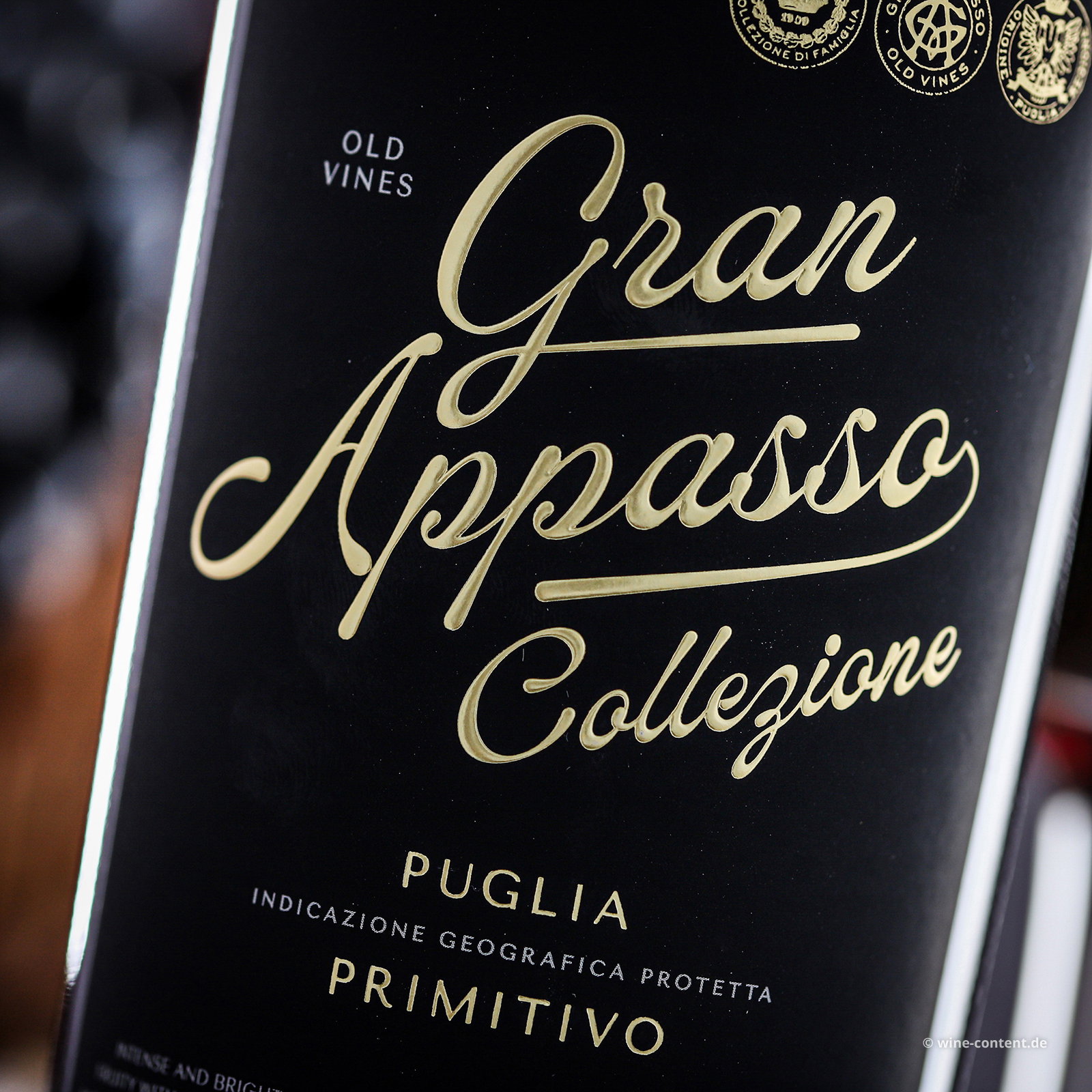 Primitivo 2025 Gran Appasso Collezione