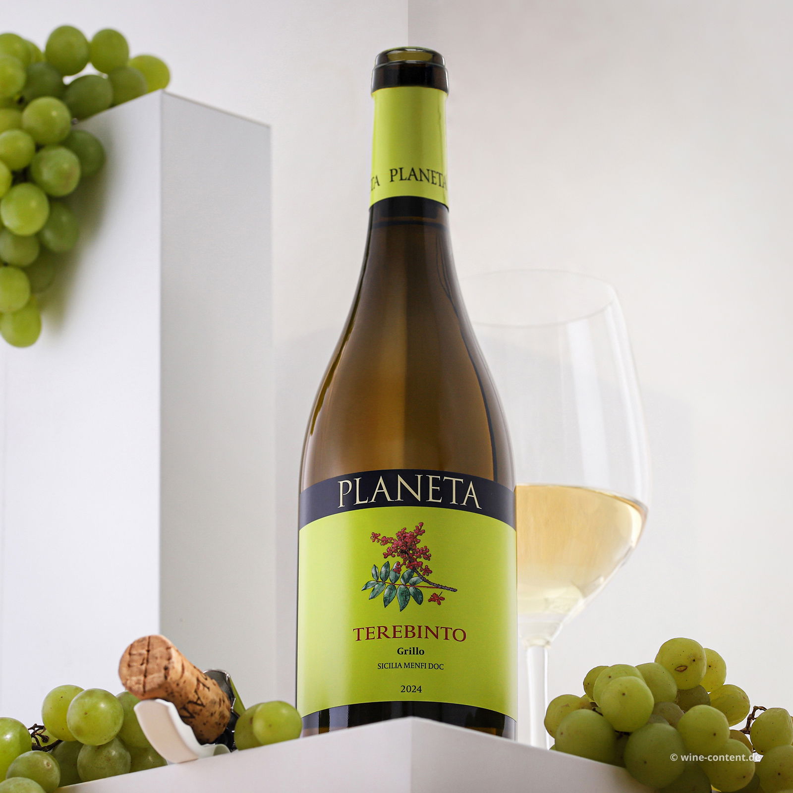 Grillo Sicilia Menfi 2024 Terebinto Bio