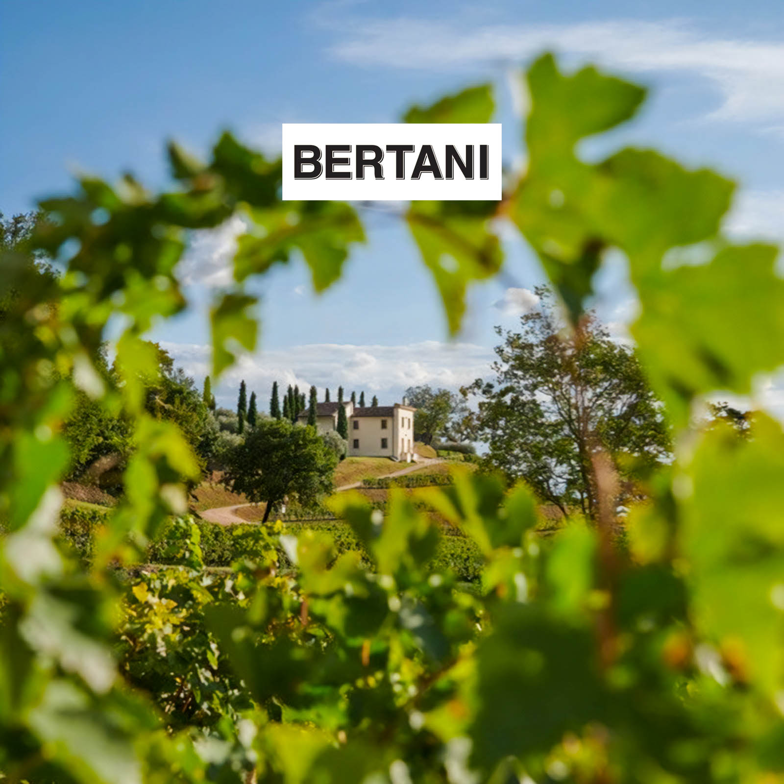 Valpolicella Ripasso Valpantena 2022