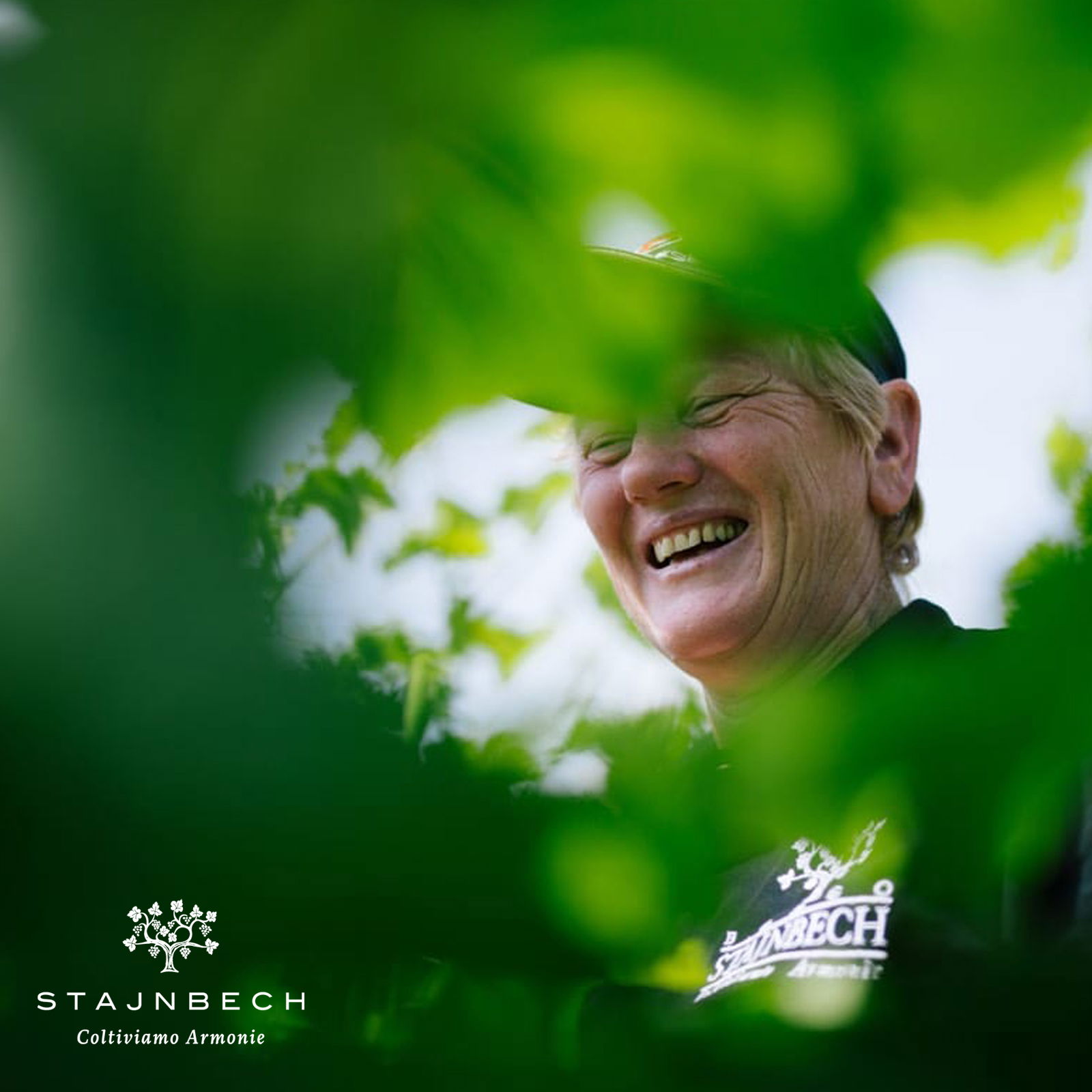 Sauvignon 2024 Bosco della Donna