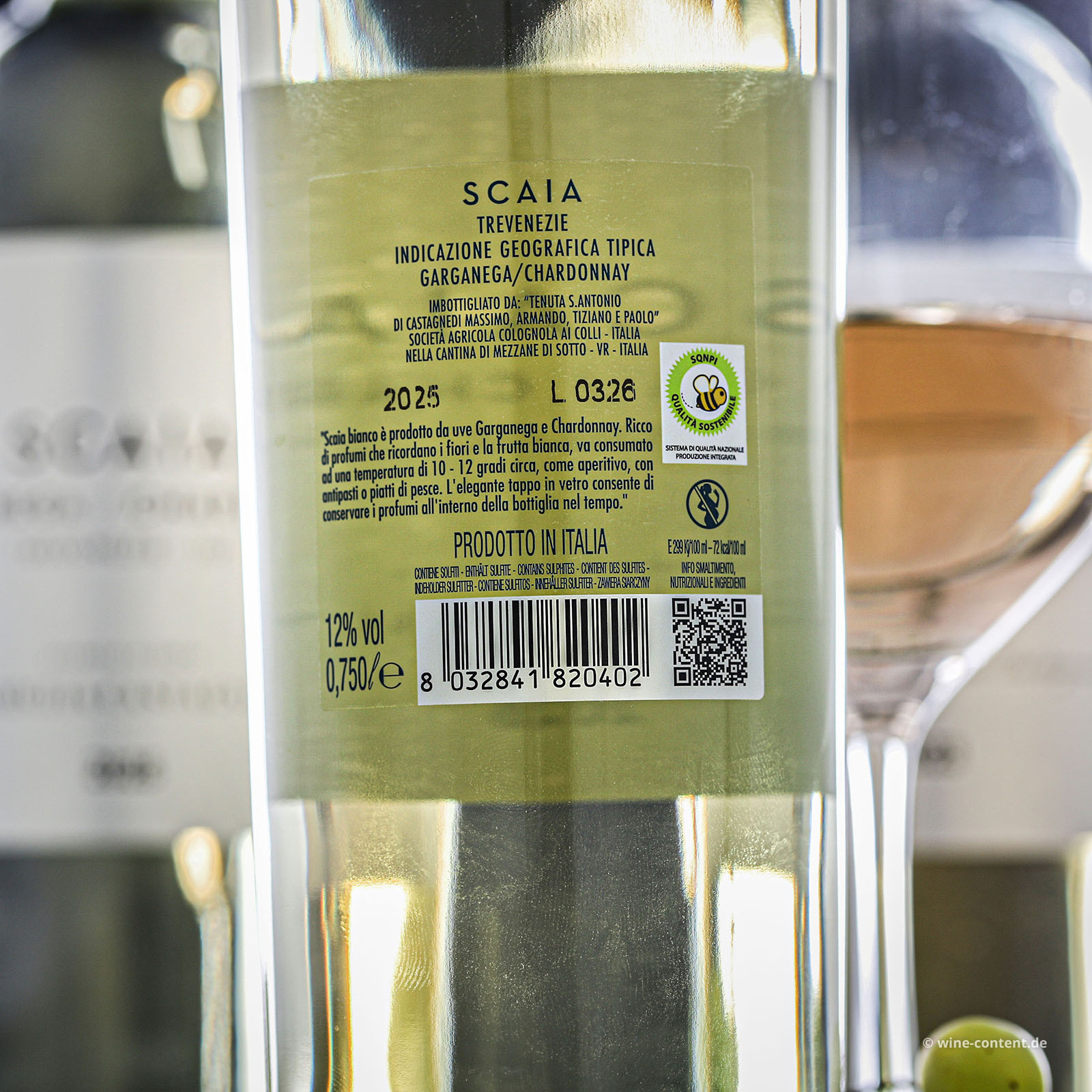 6er-Sparpaket Scaia Bianco 2025