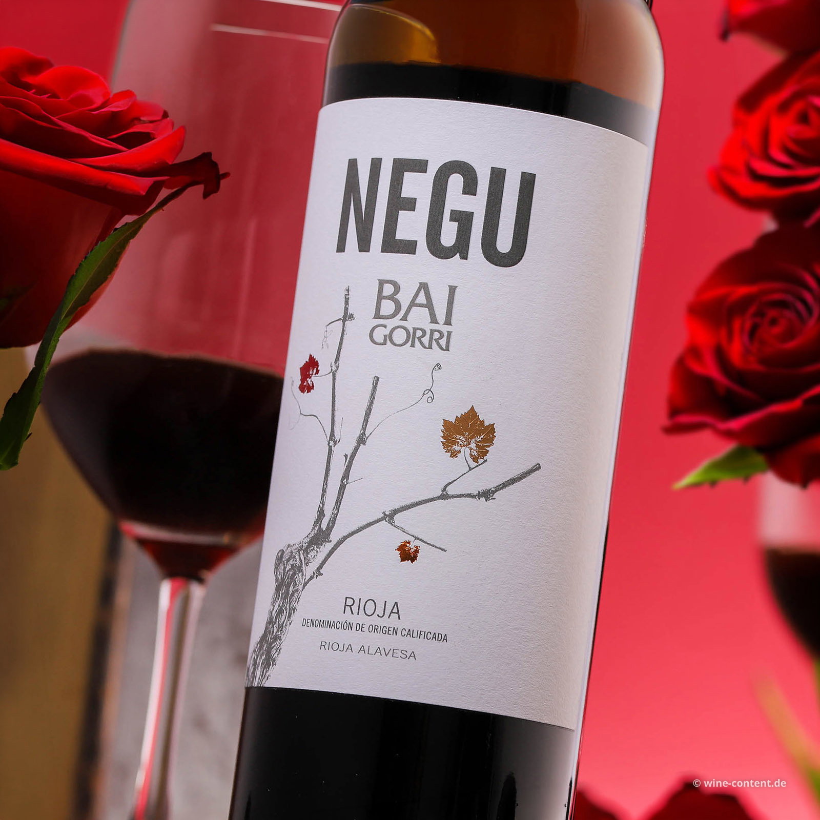 Rioja 2025 Negu