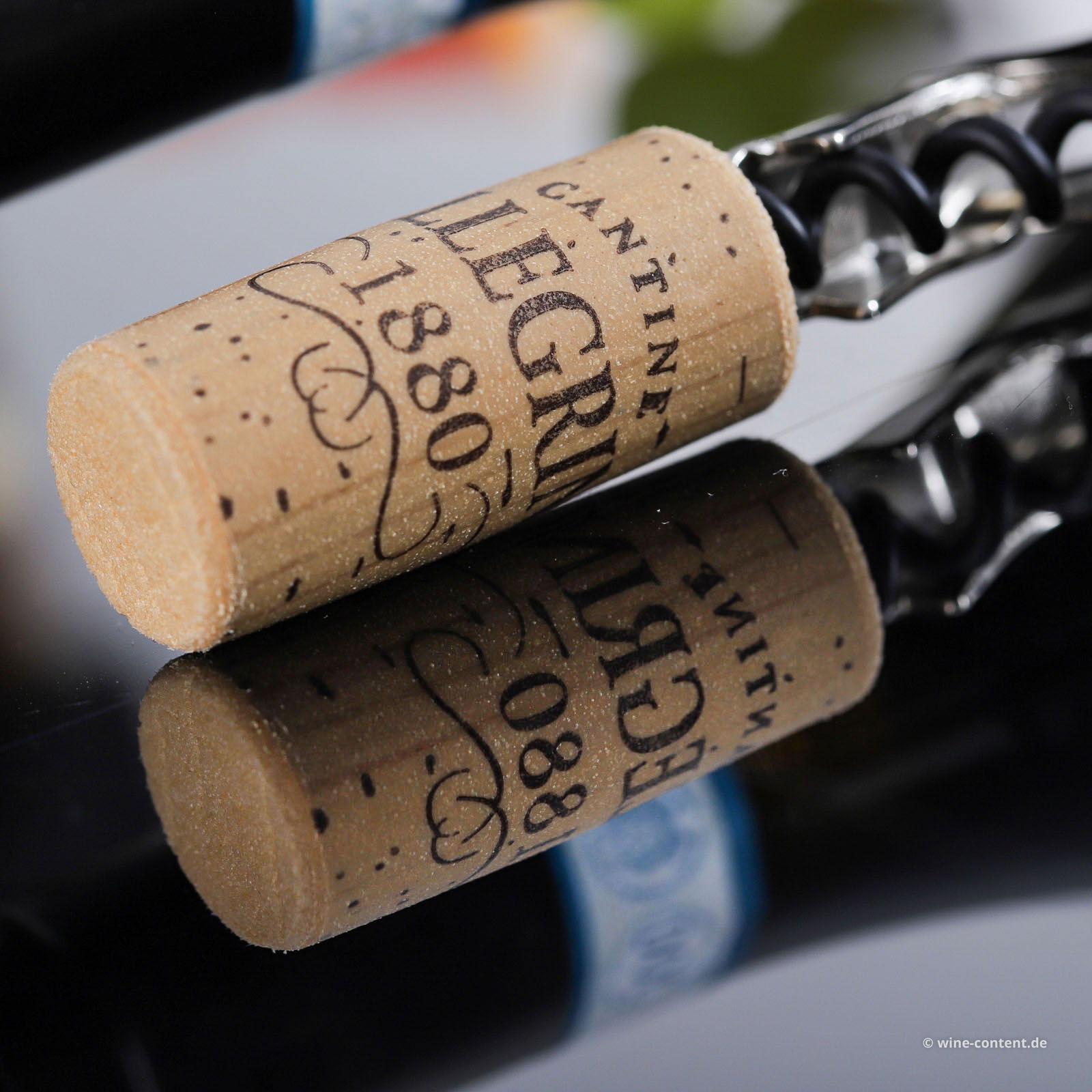 6er-Sparpaket Grillo Sicilia 2025 Il Salinaro