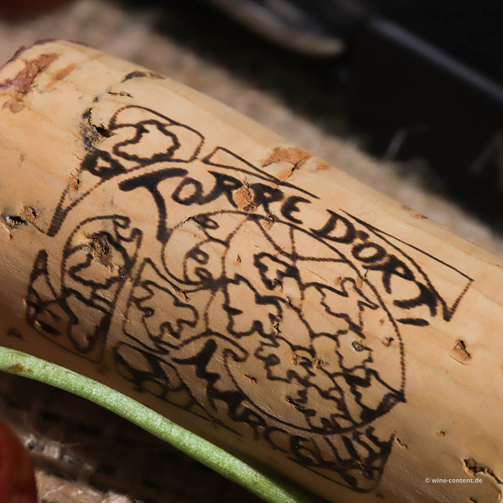 Amarone 2022 Torre d'Orti