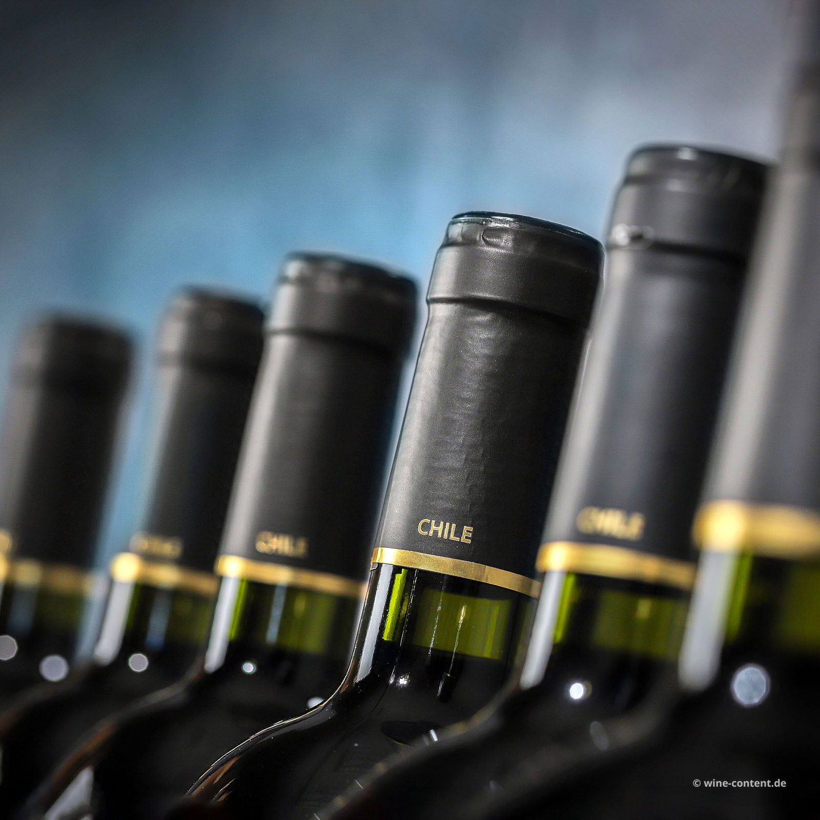 4+2 Sparpaket Reserva Privada 2019 El Conocedor