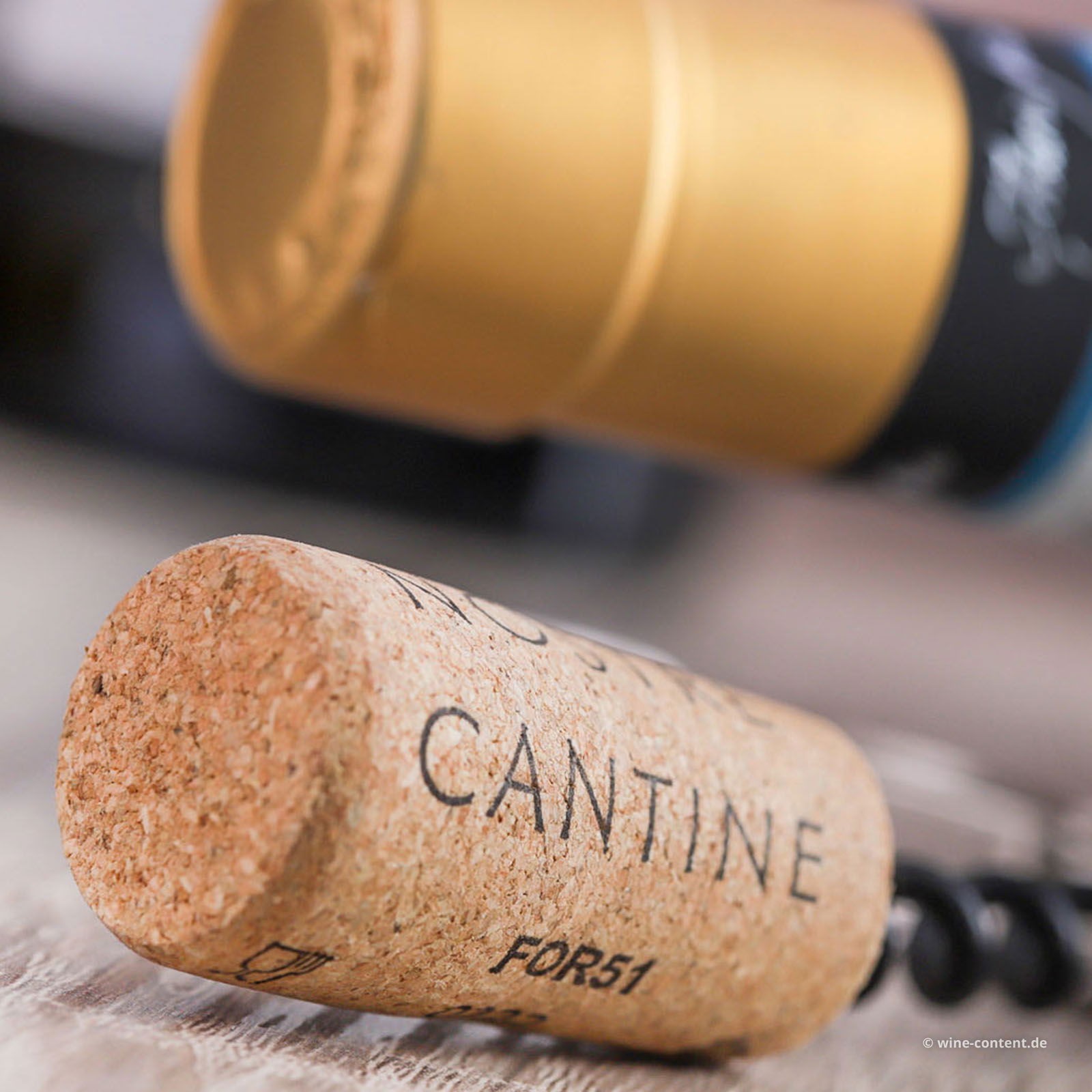 Lugana 2025 Maria Pia