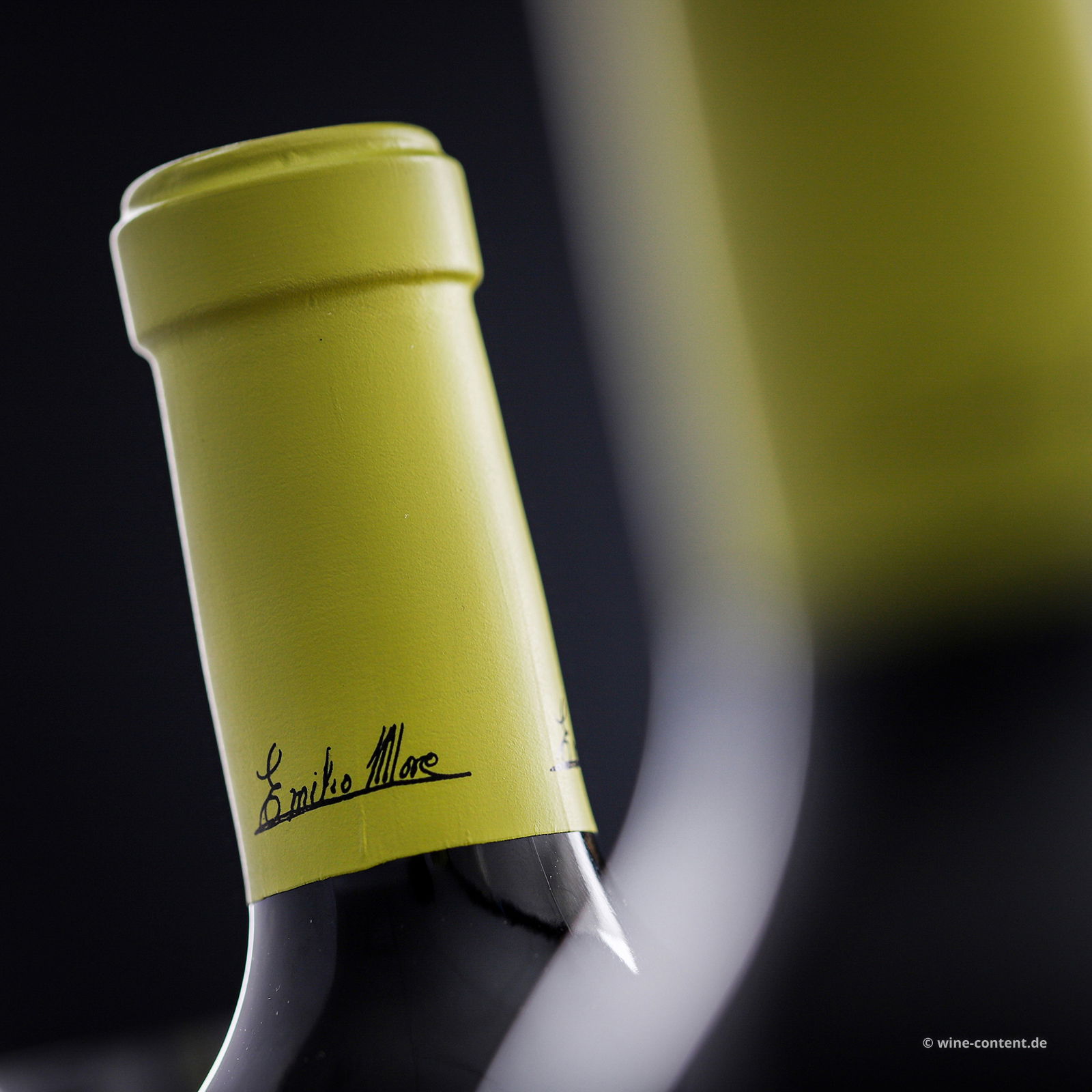 Malleolus de Sanchomartin 2021