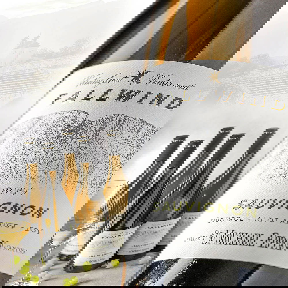 6er-Sparpaket Sauvignon Blanc 2024 Fallwind 6er-Sparpaket Sauvignon Blanc 2024 Fallwind