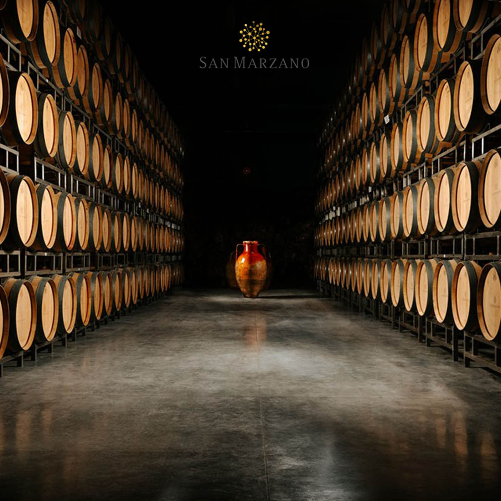 6er-Sparpaket Negroamaro Salento 2022 F