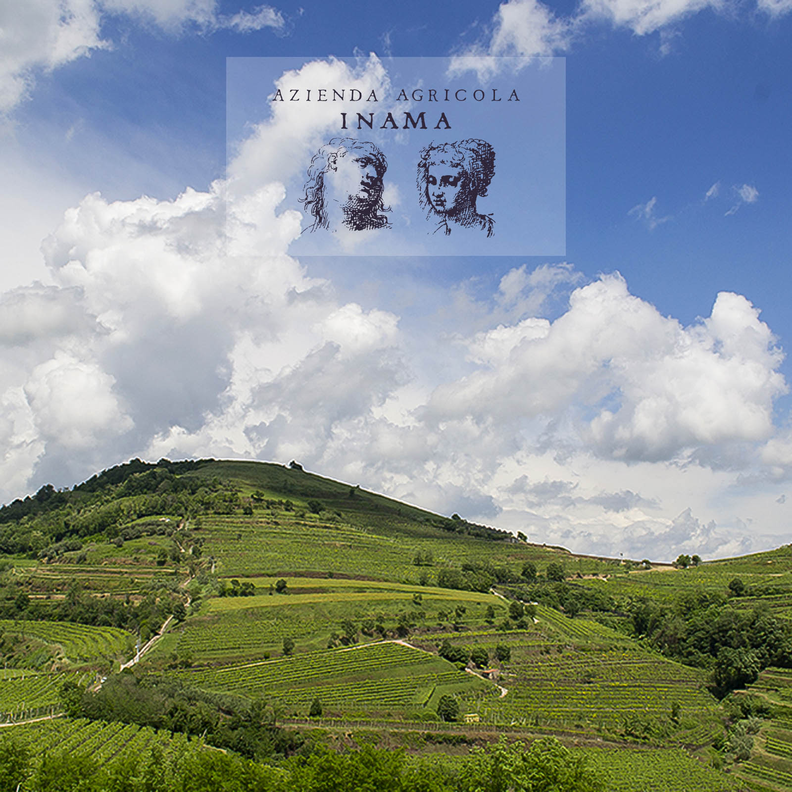 Vin Soave Classico 2024