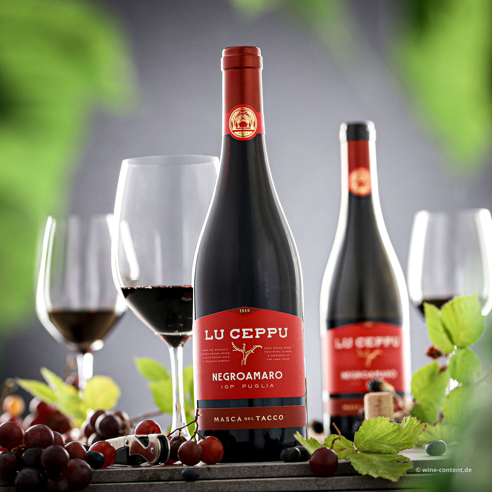 Negroamaro 2025 Lu Ceppu