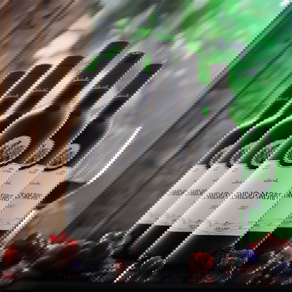 6er-Sparpaket Tempranillo 2023 Emilio Moro