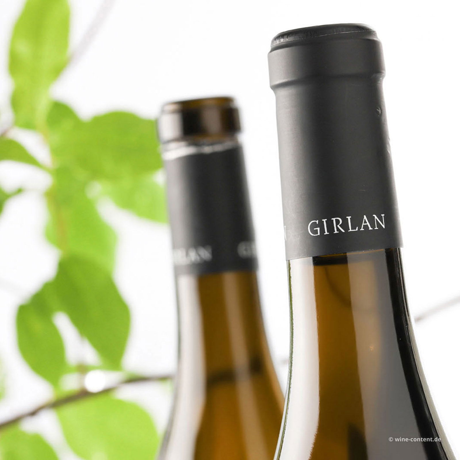 Pinot Bianco 2024 Platt & Riegl