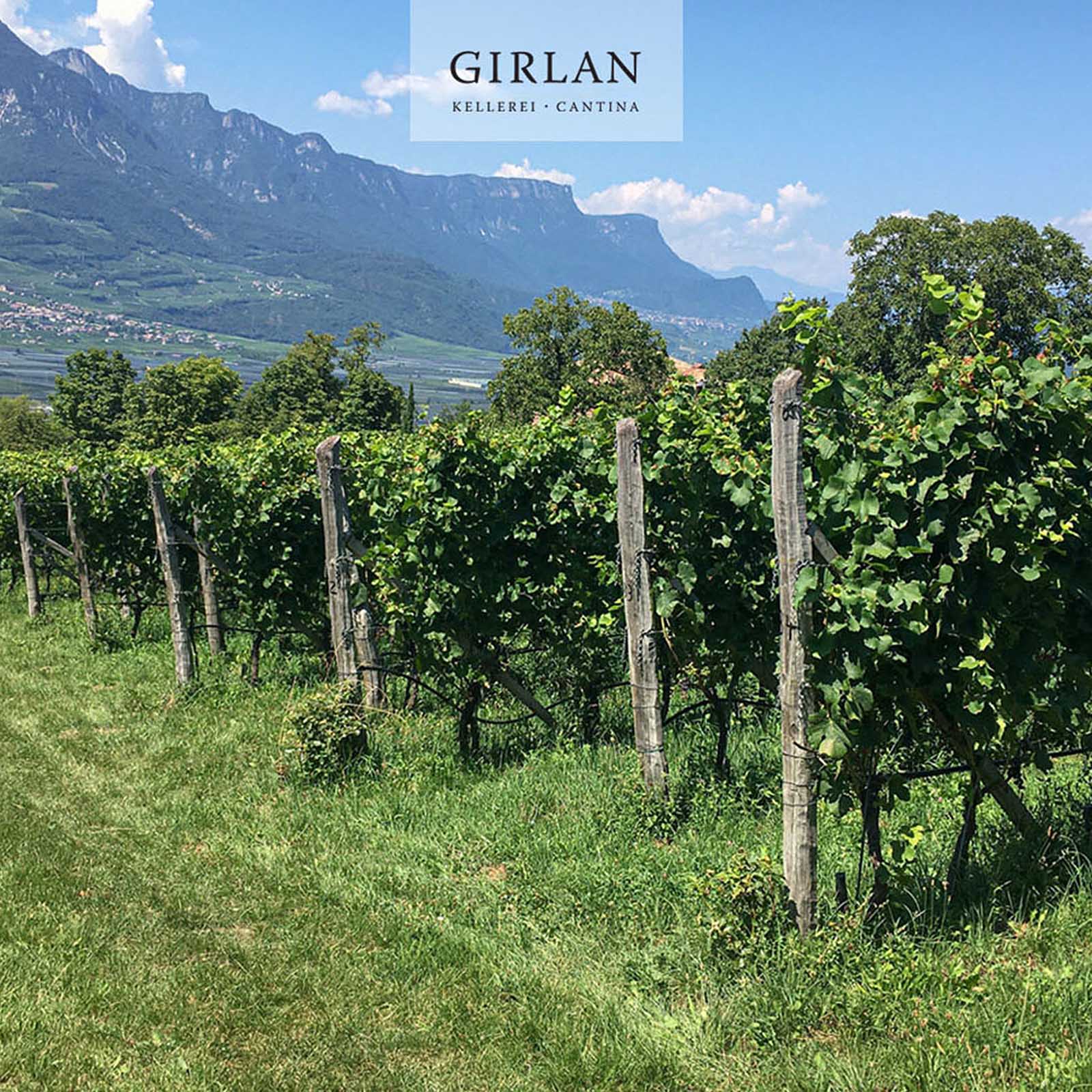 Rosé 2025 448 s.l.m.