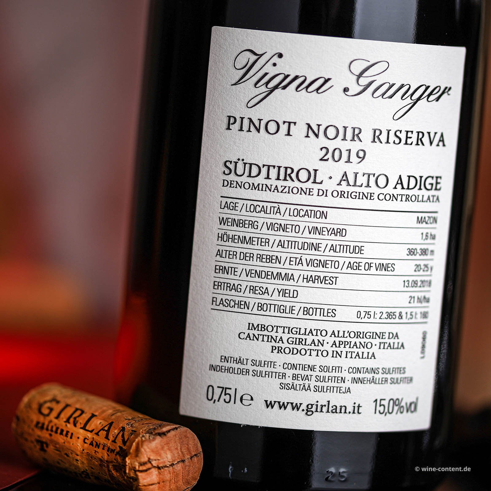Pinot Noir Riserva 2019 Vigna Ganger 