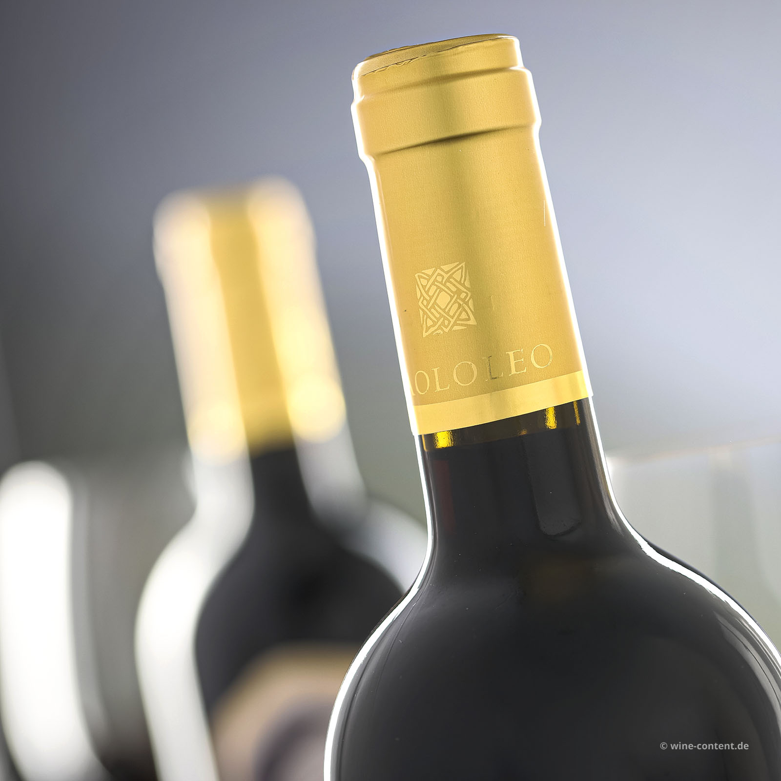 Malvasia Nera Salento 2024 Moramora