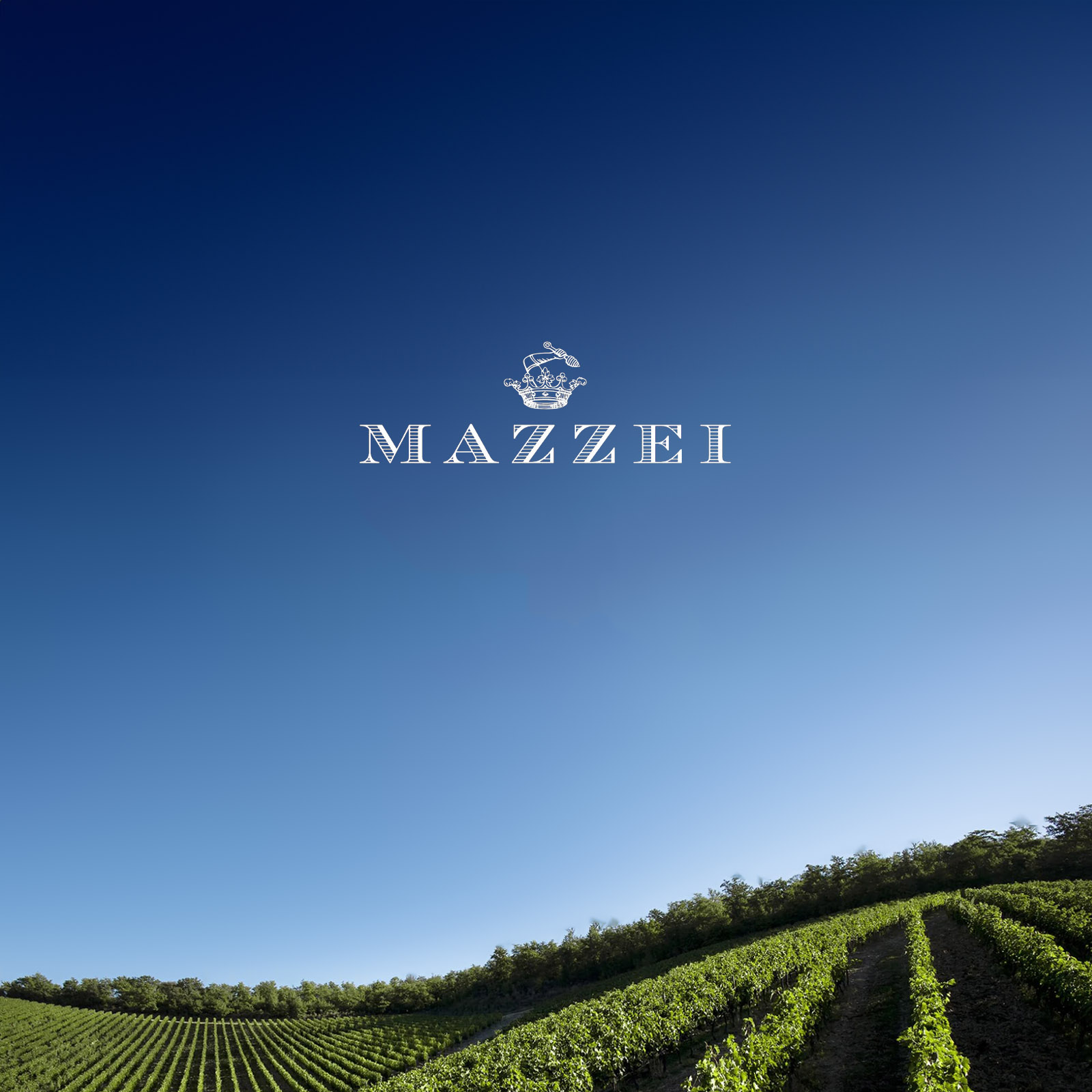0,25 L Olivenöl Extra Vergine Chianti Classico 2025 Castello Fonterutoli