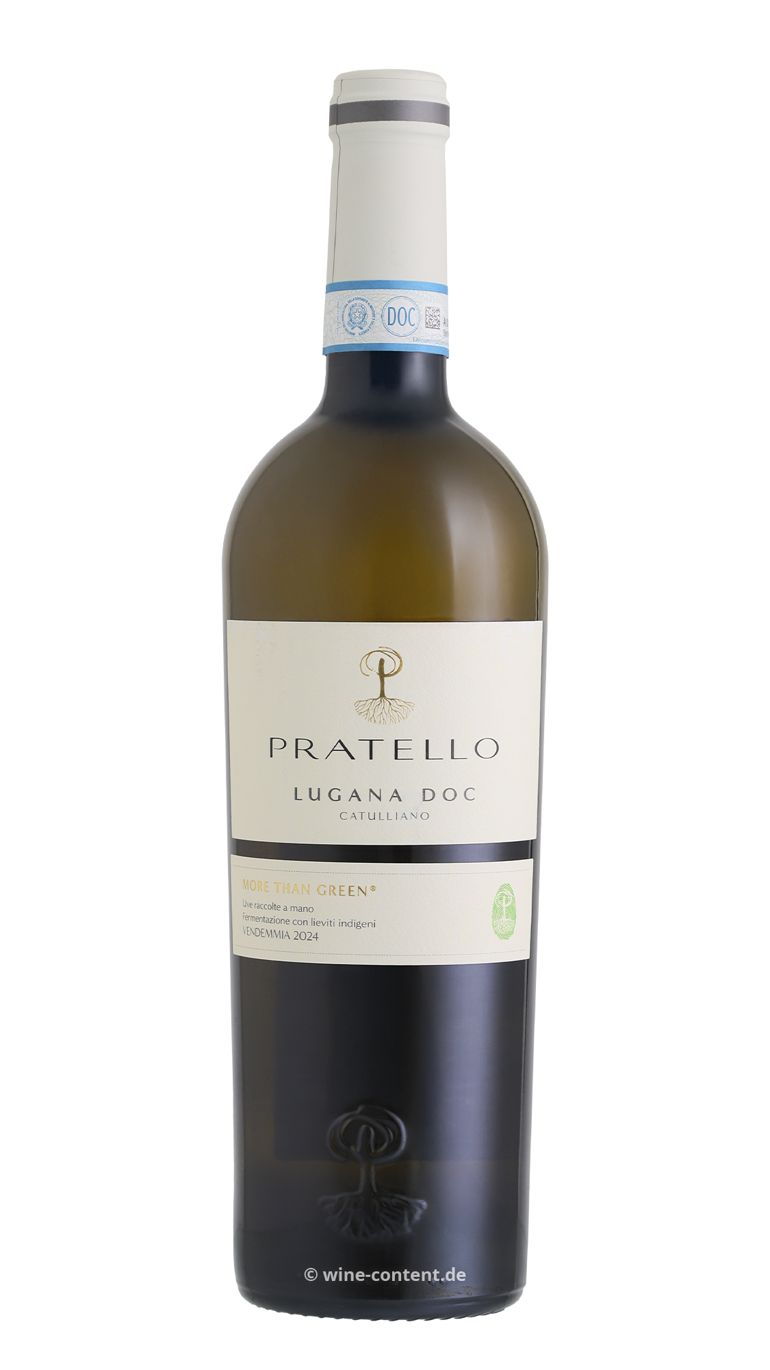 6er-Sparpaket Lugana 2024 Catulliano