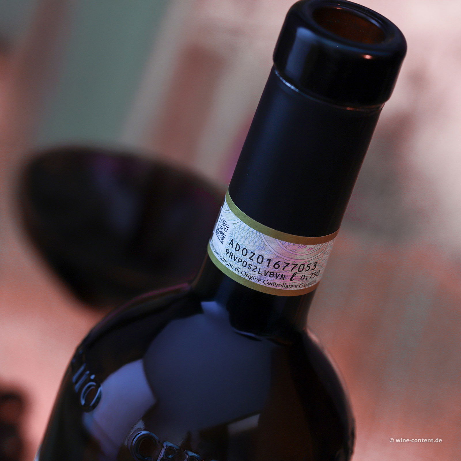 Barolo 2021 Bio