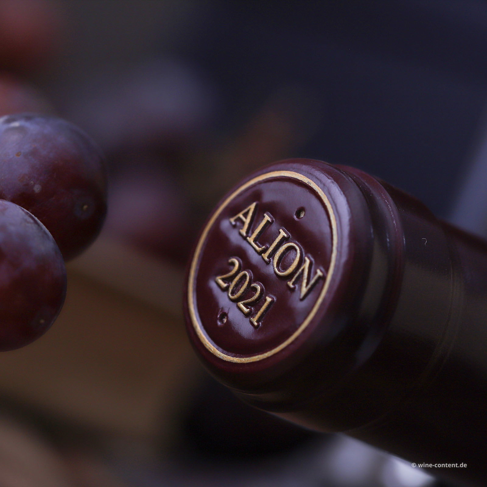 Ribera del Duero 2021 Alión