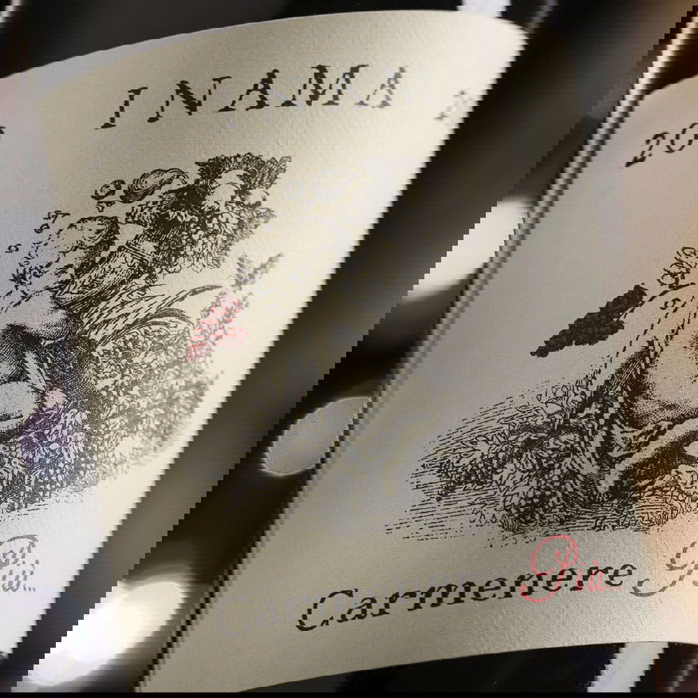Carmenere Più 2023