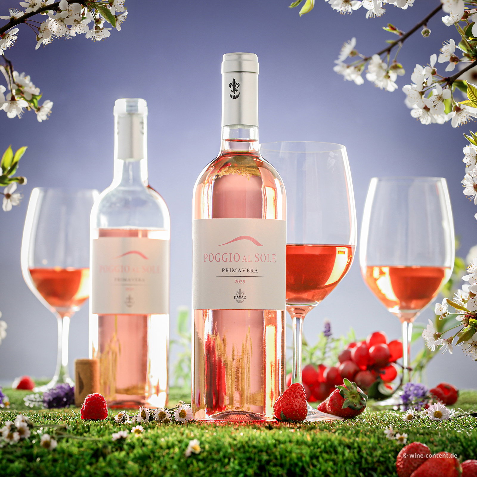 Toscano Rosato 2025 Primavera Bio