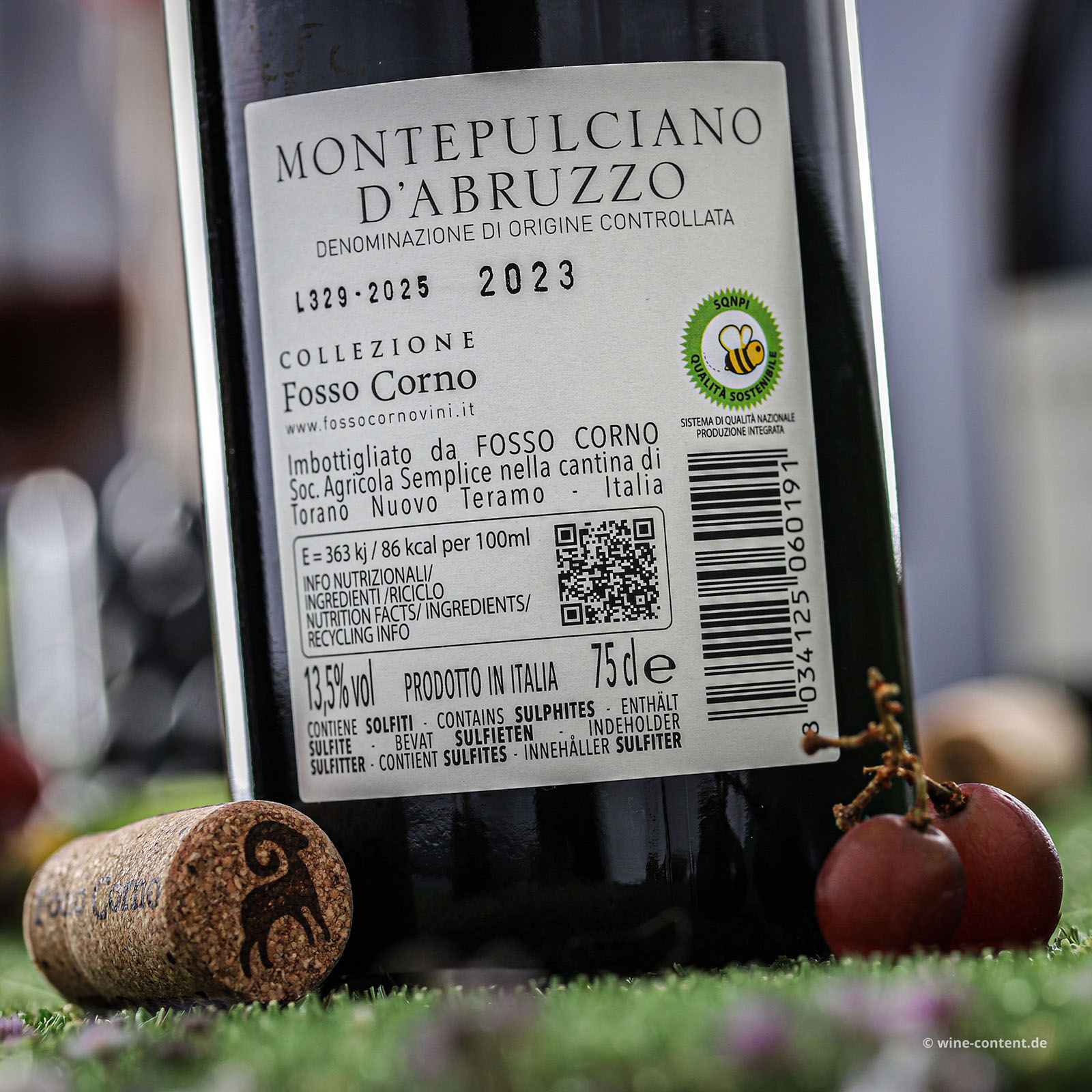 Montepulciano d´Abruzzo 2023 Orsettino