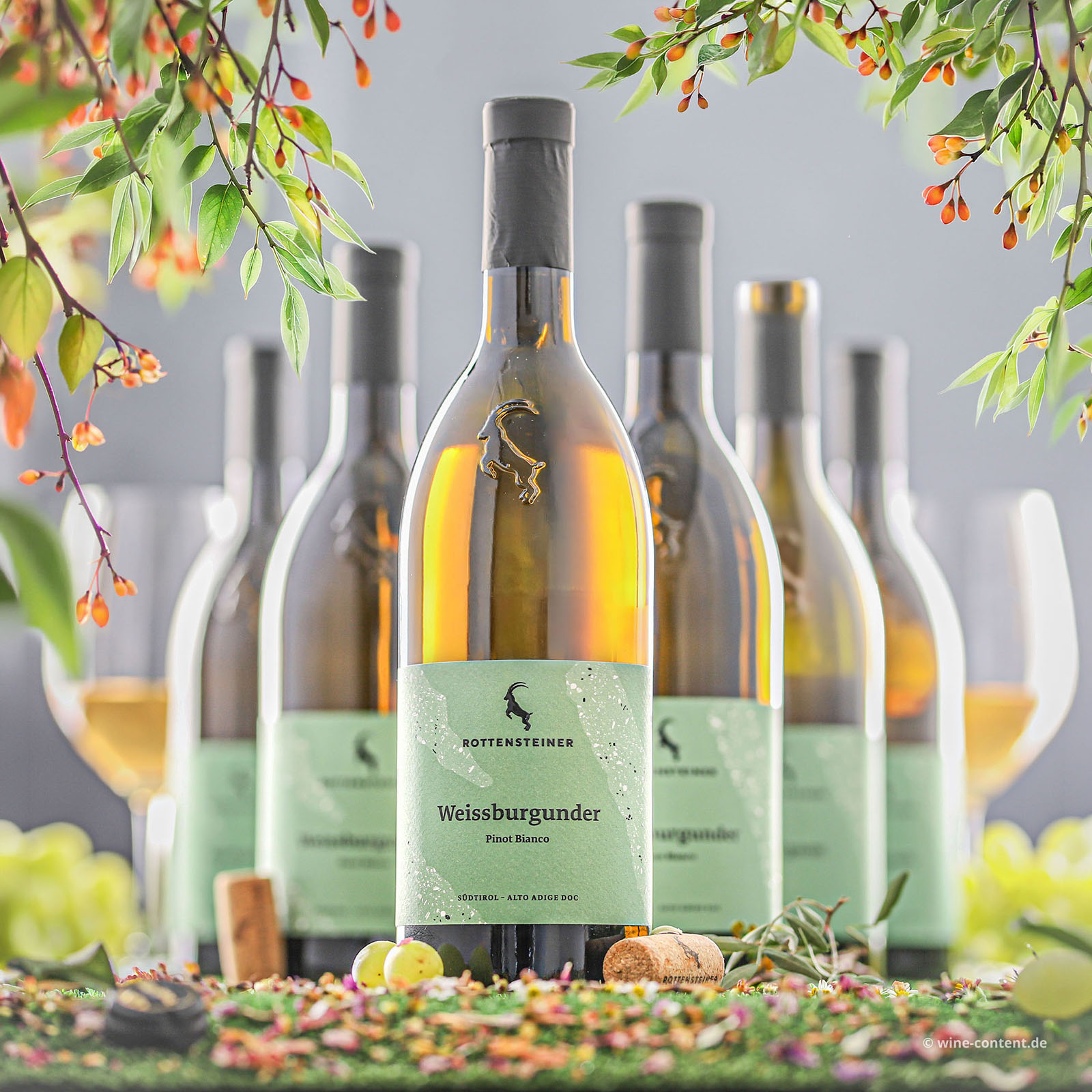 6er-Sparpaket Pinot Bianco 2025