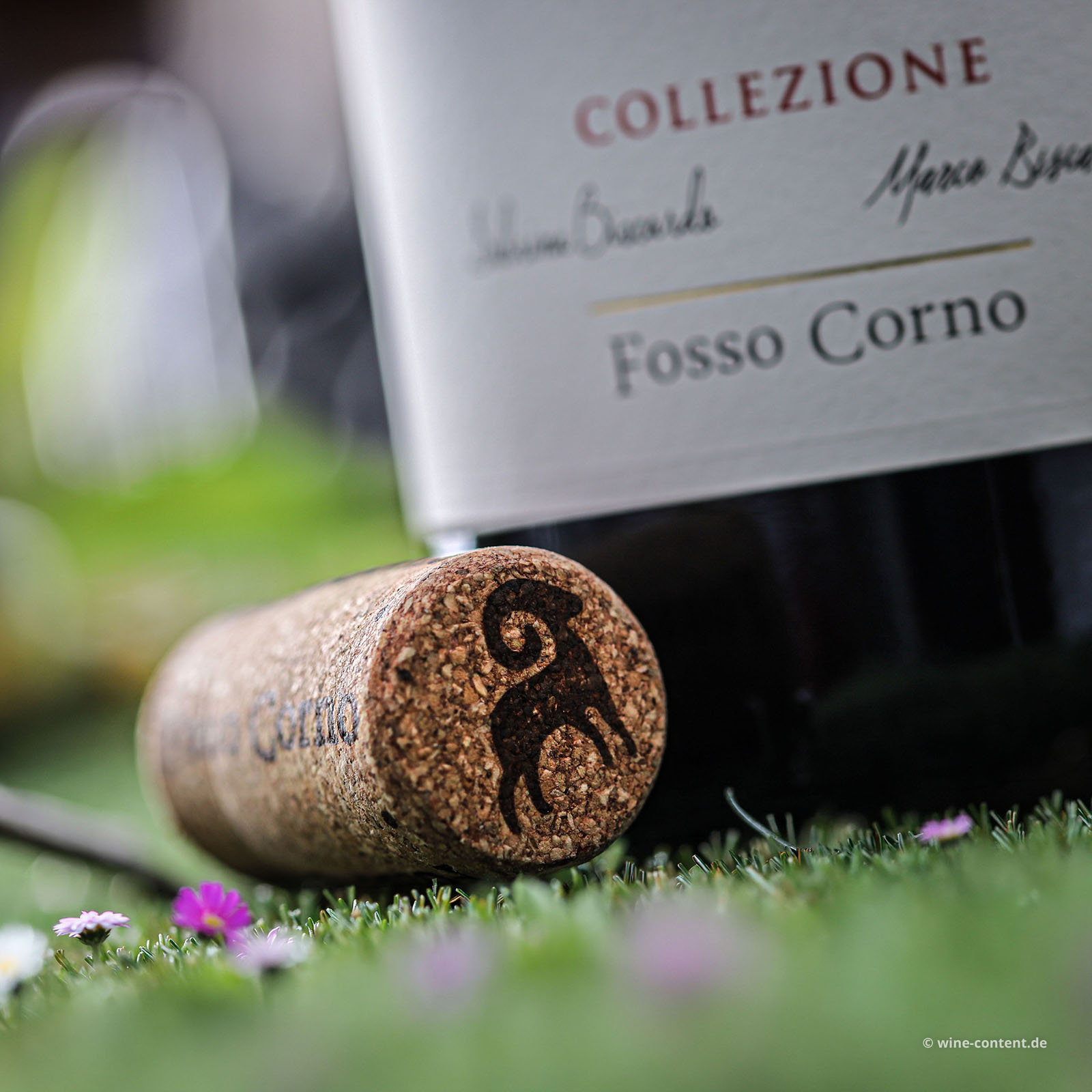 Montepulciano d´Abruzzo 2023 Orsettino