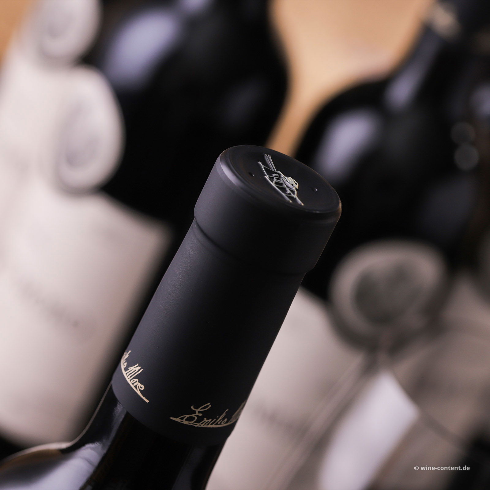 6er-Sparpaket Tempranillo 2023 Emilio Moro