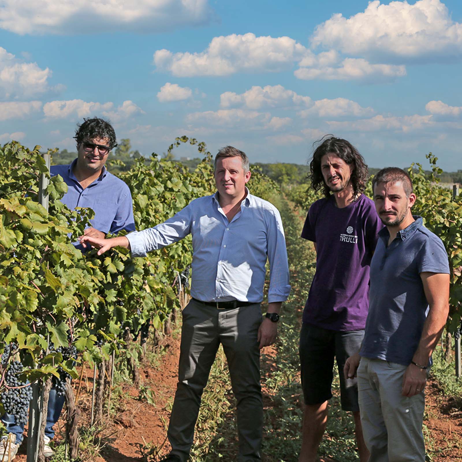 6er-Sparpaket Primitivo 2024 Zensa Bio 6er-Sparpaket Primitivo 2024 Zensa Bio