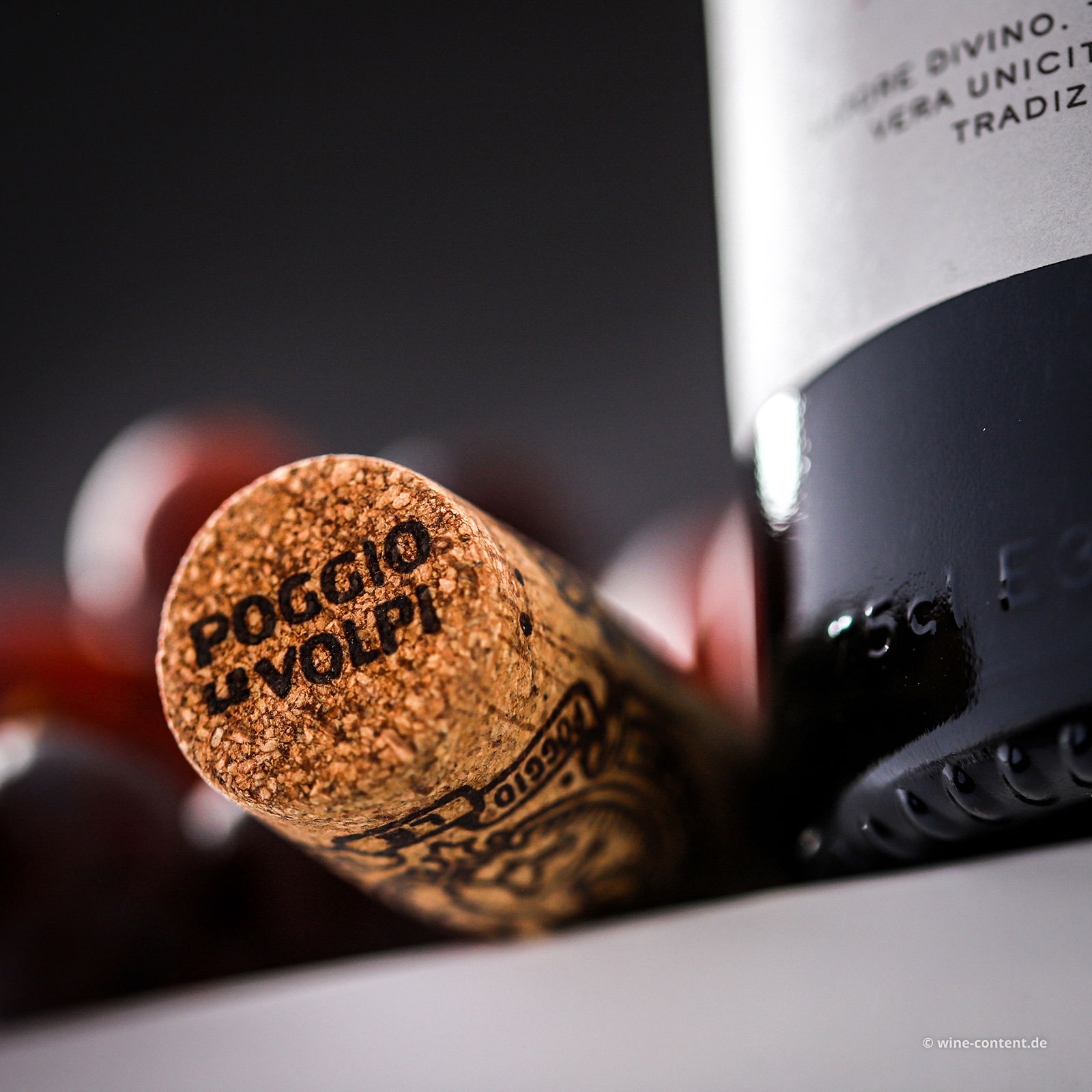 Primitivo 2023 Tator Primitivo 2023 Tator