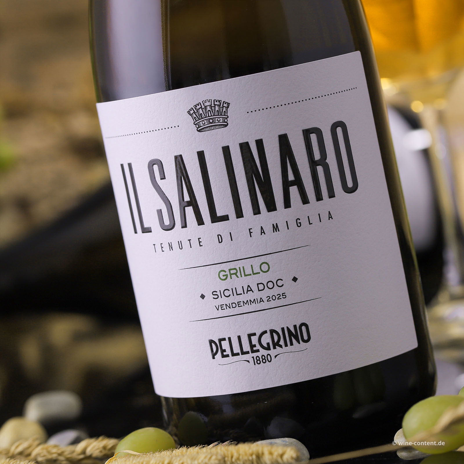 Grillo Sicilia 2025 Il Salinaro