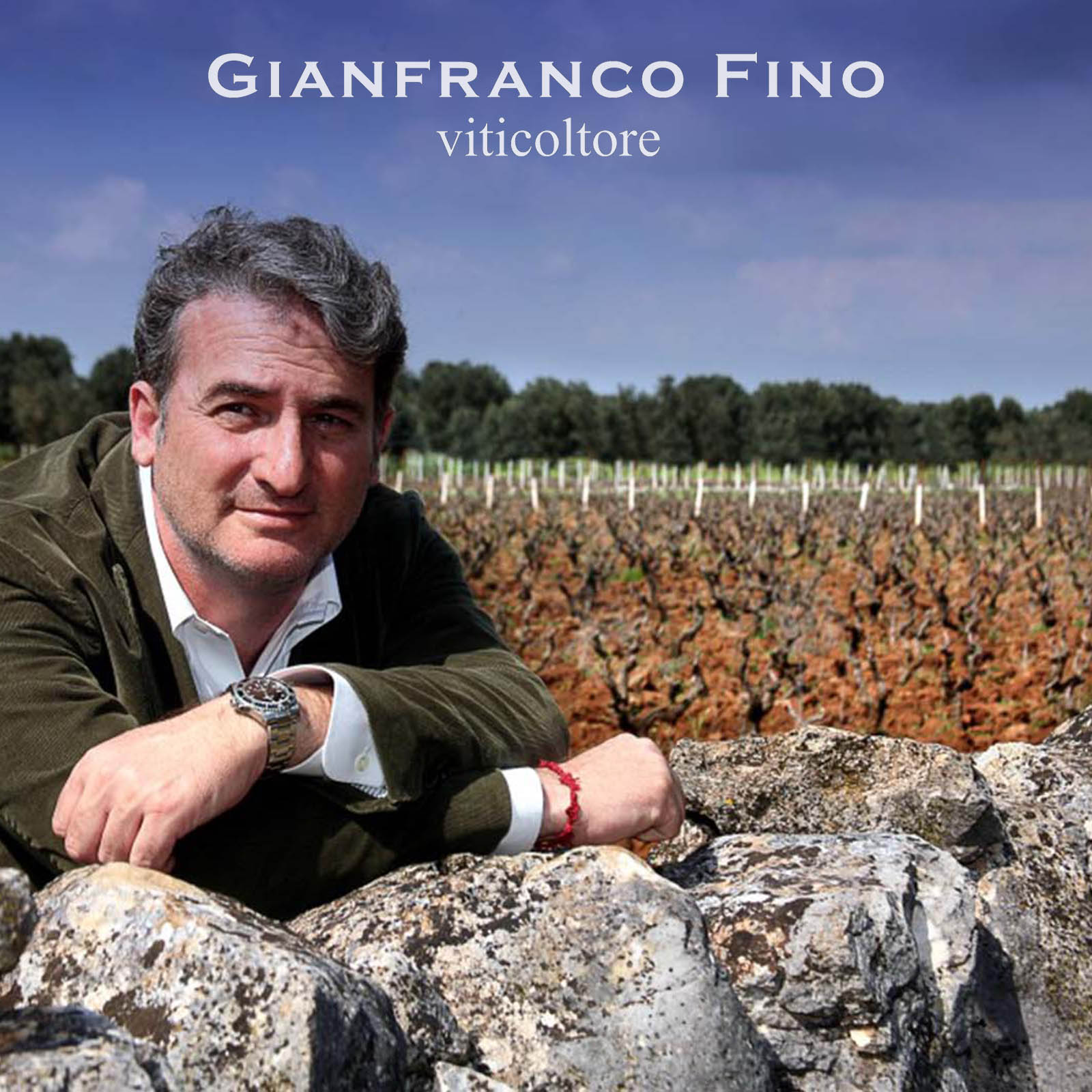 3er-Paket Primitivo Salento 2019 ES Red