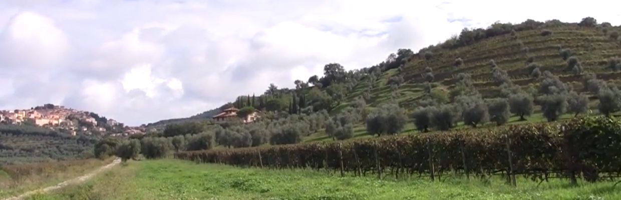 Michele Satta
