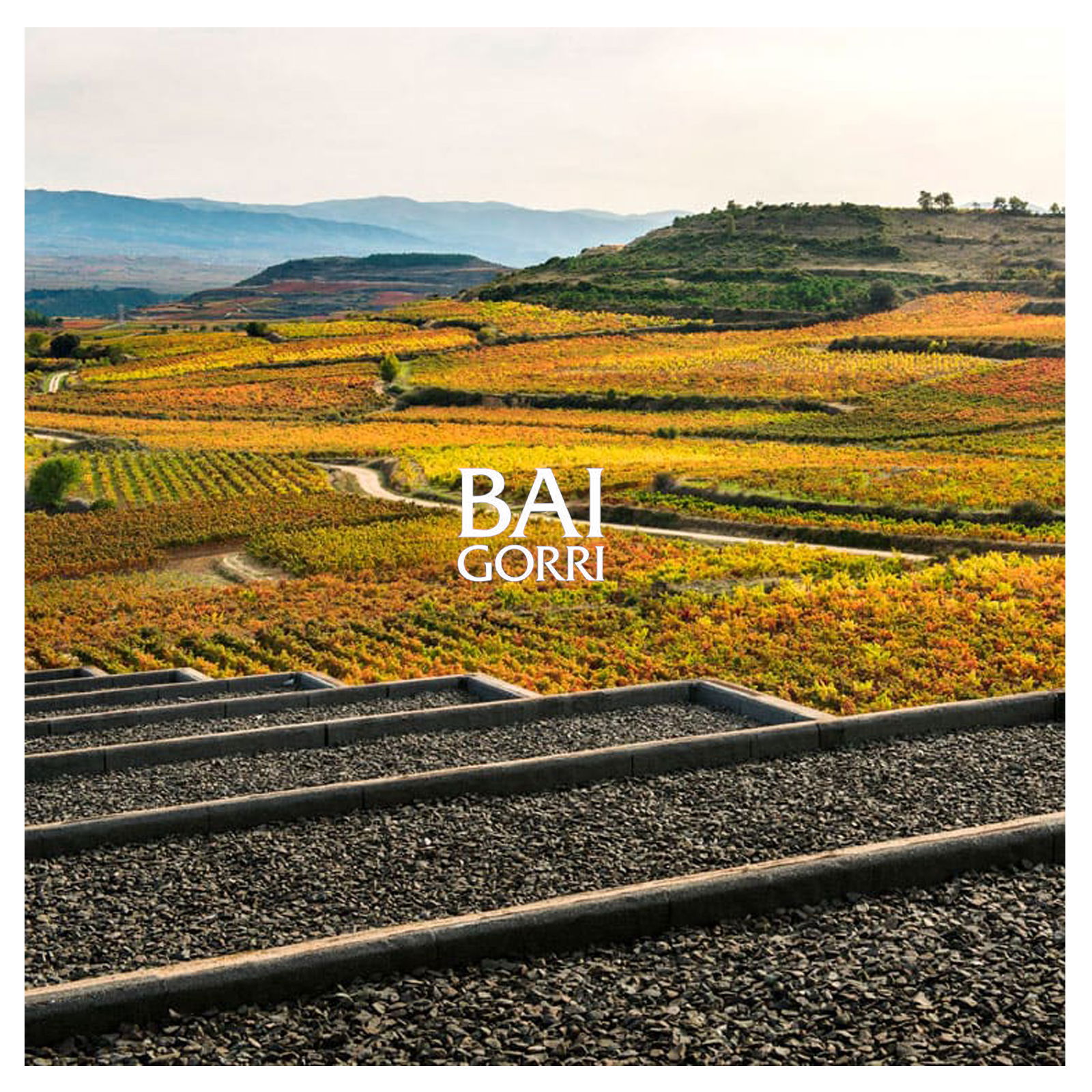 Rioja Crianza 2021 Mendi