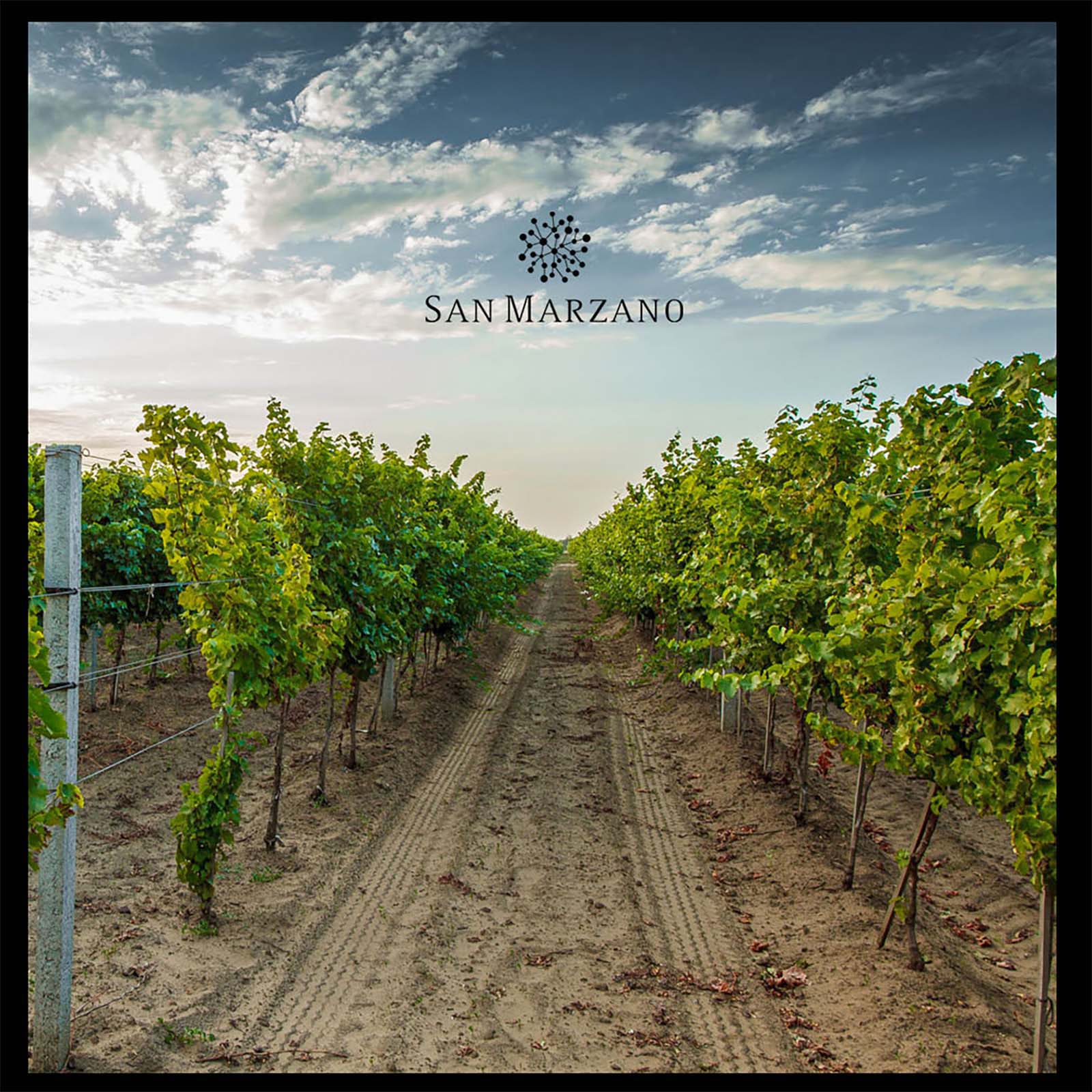 6er-Sparpaket Primitivo di Manduria 2019 Sessantanni