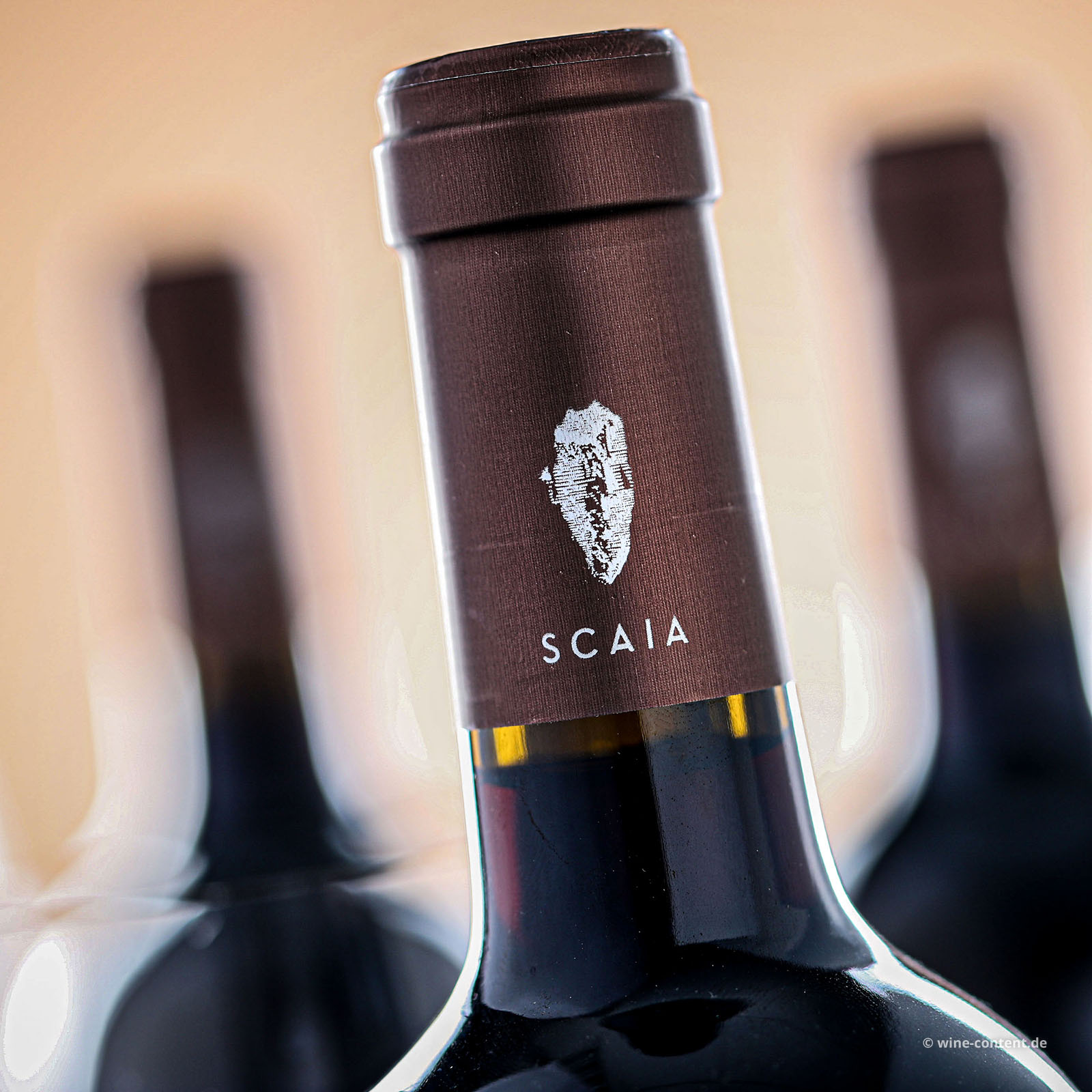 6er-Sparpaket Scaia Rosso 2022 Paradiso Appassimento