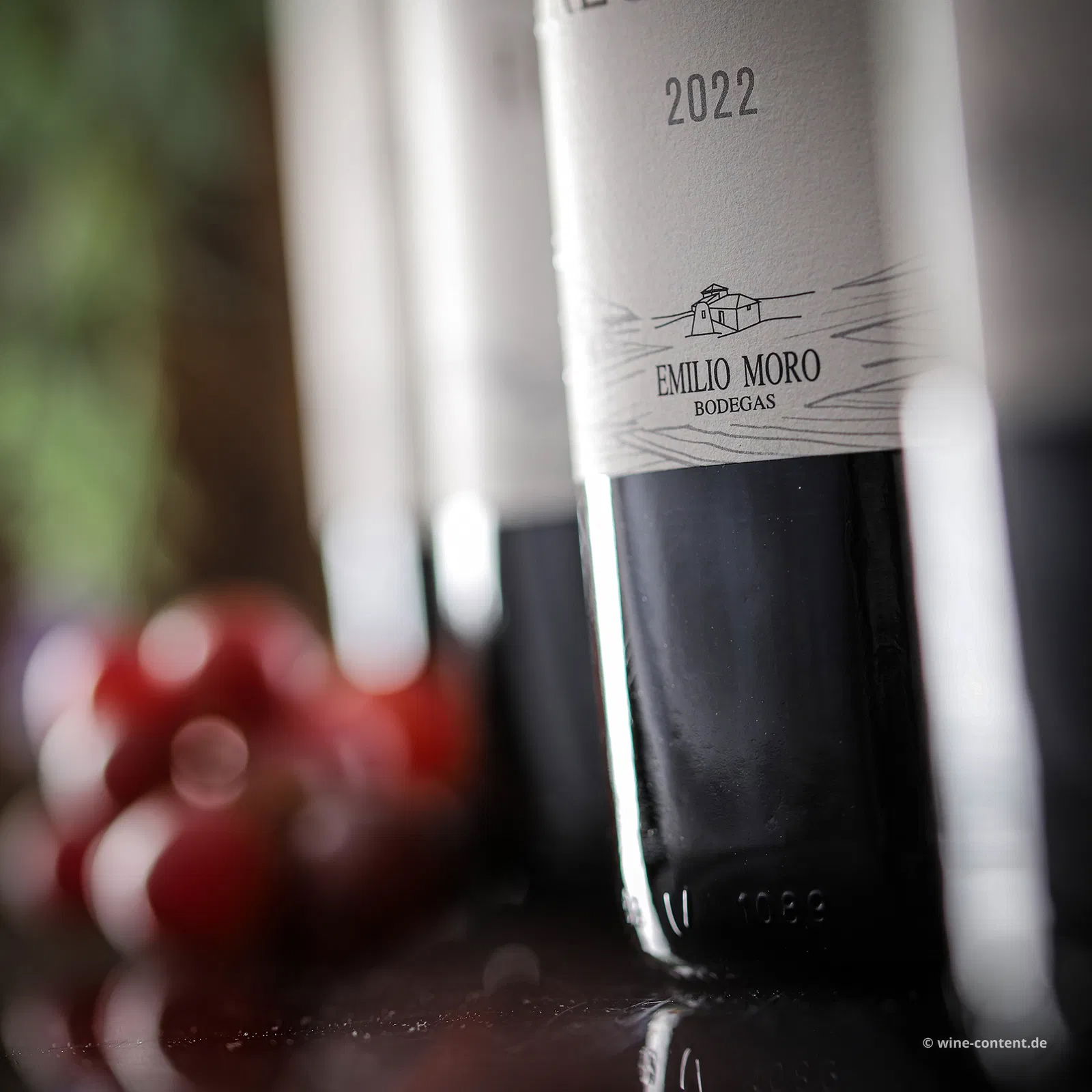 6er-Sparpaket Tempranillo 2022 Emilio Moro
