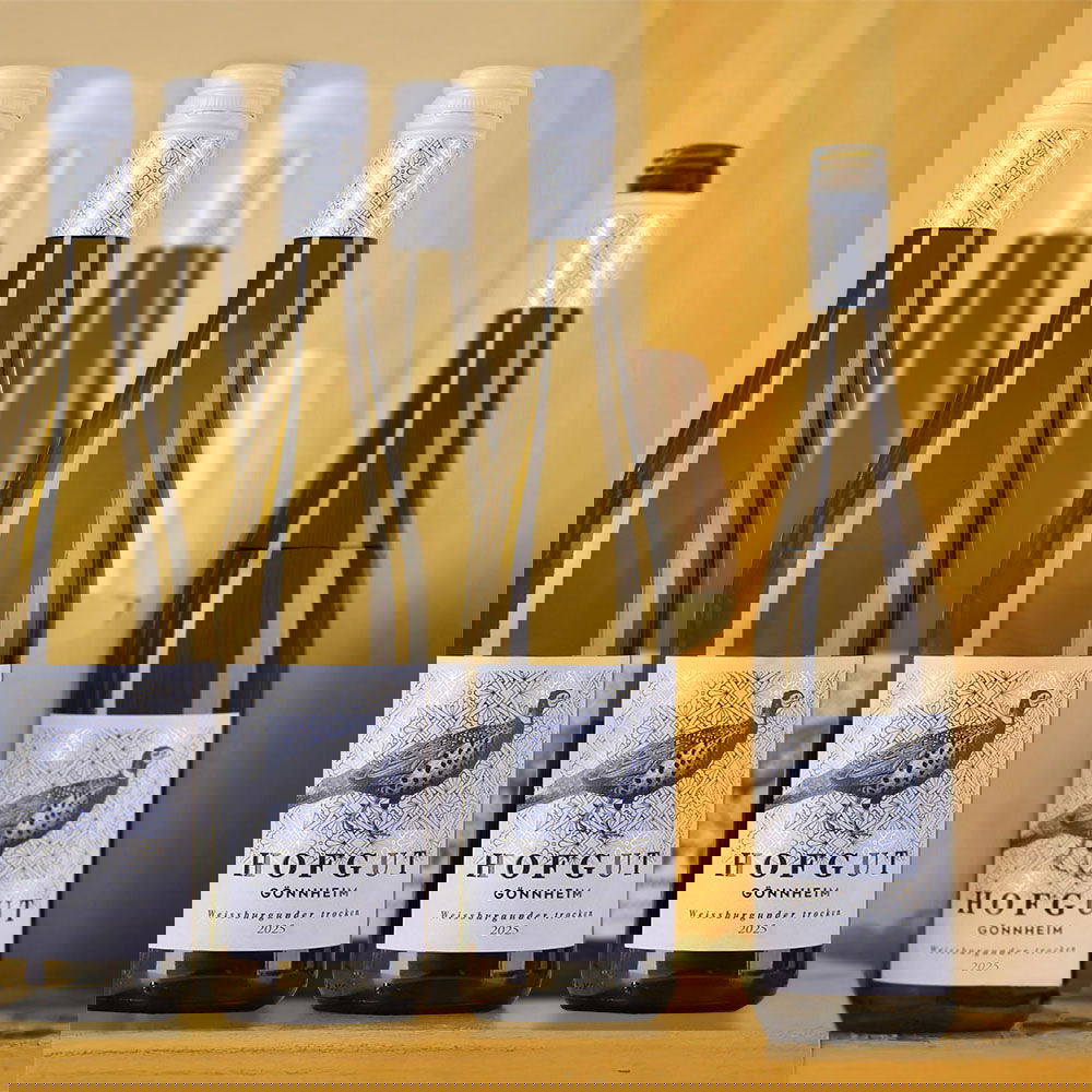 6er-Sparpaket Weißburgunder 2025 Gönnheim Bio