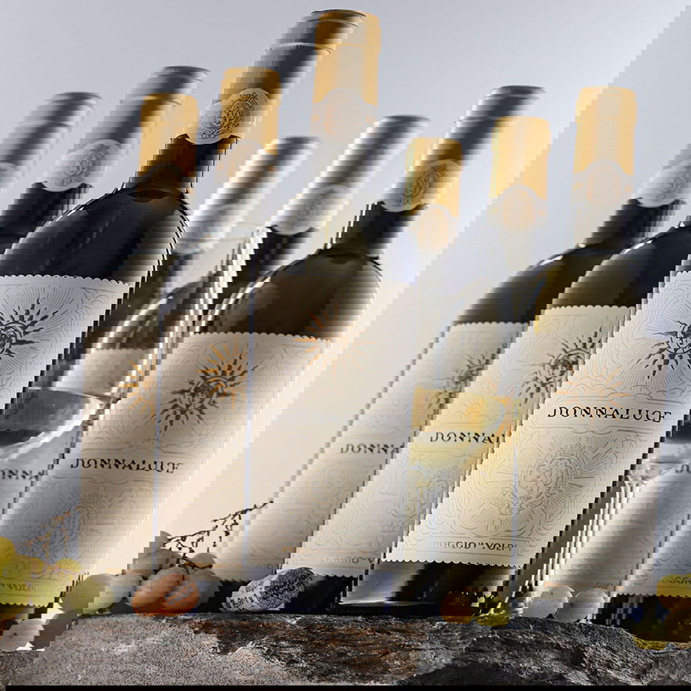 6er-Sparpaket Donnaluce 2024