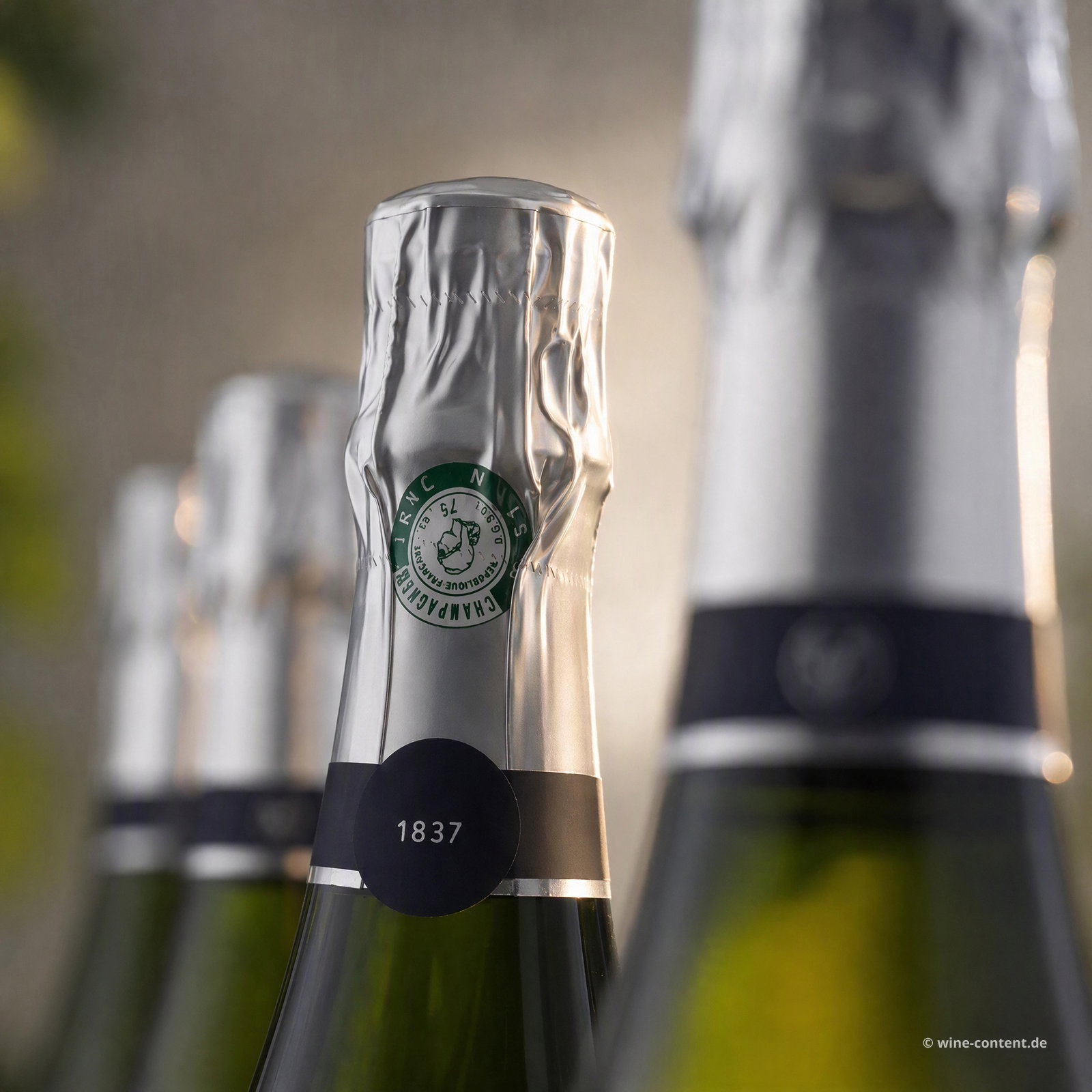 6er-Sparpaket Champagner Cordon Bleu Brut