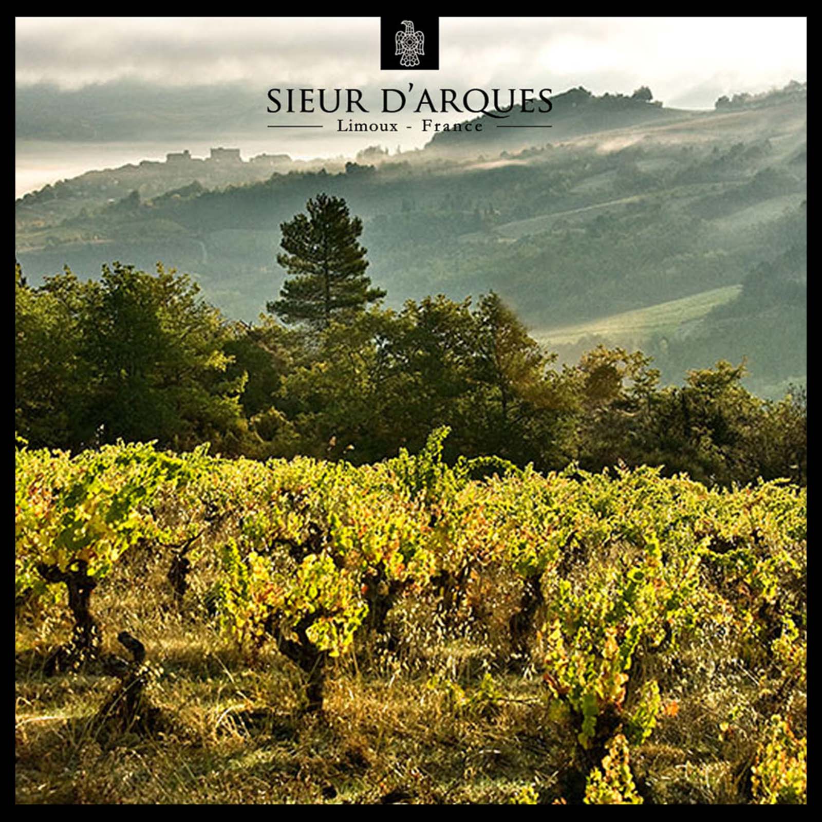 9er-Sparpaket Crémant de Limoux Rosé Grande Cuvée 1531 Brut