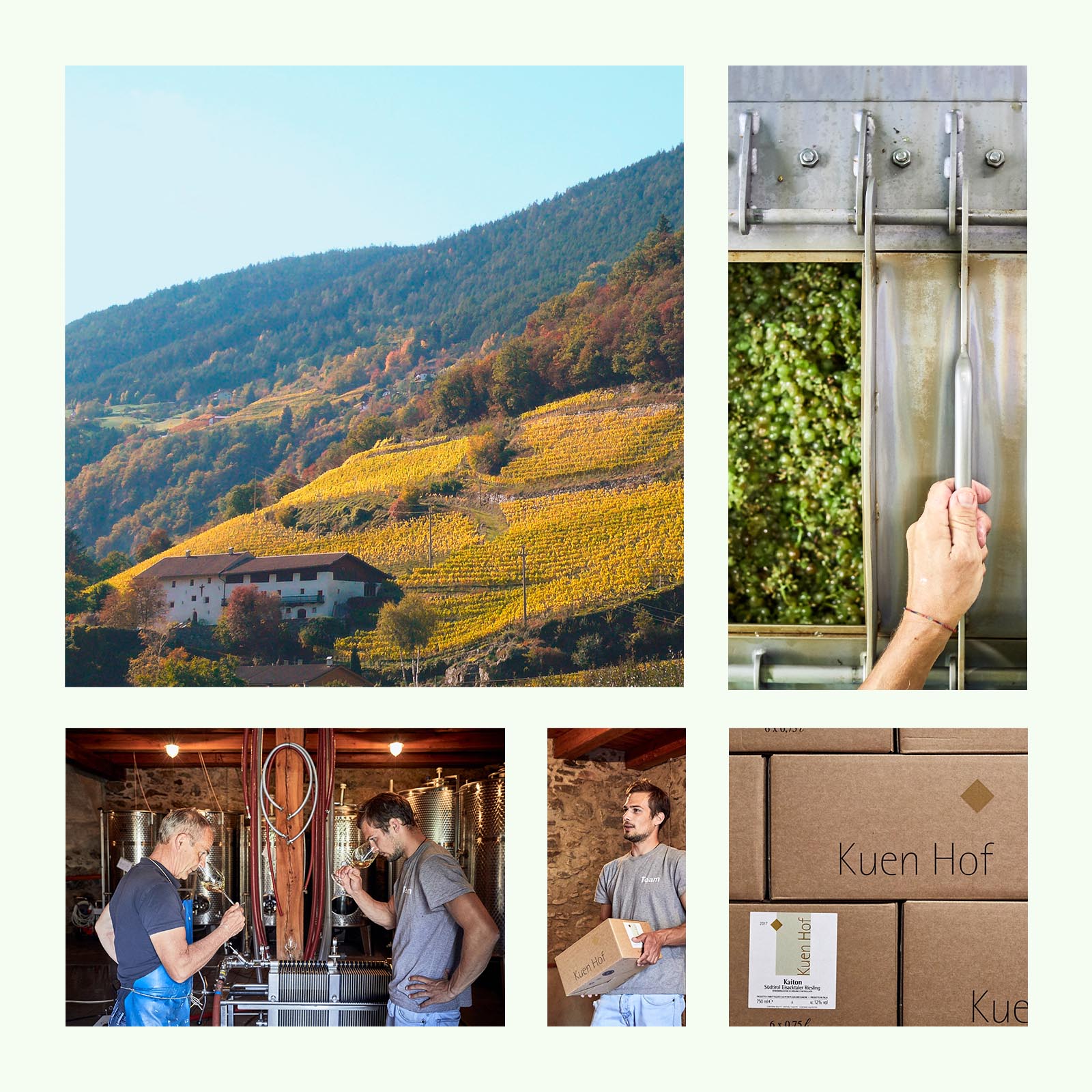 Riesling Kaiton 2023 Eisacktaler