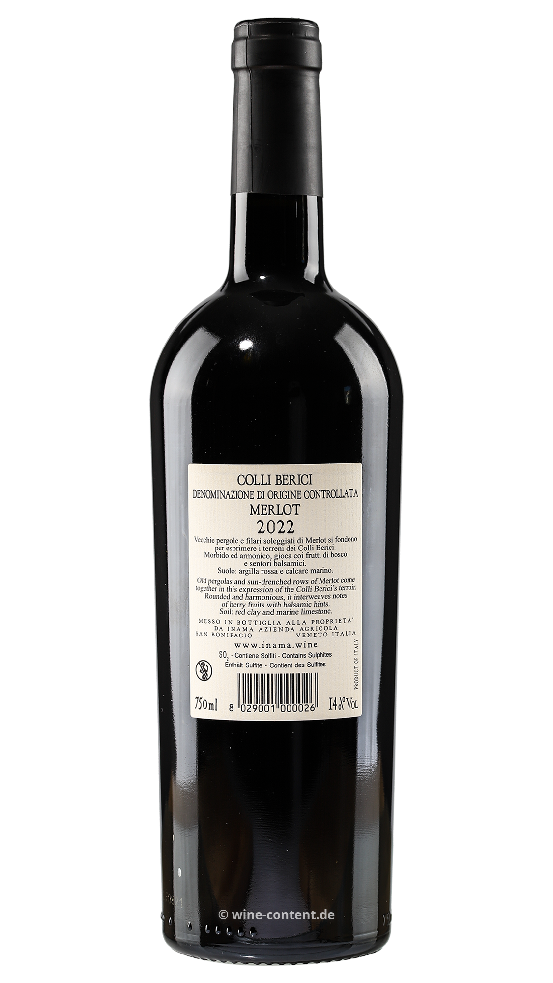 Merlot 2022 Campo del Lago