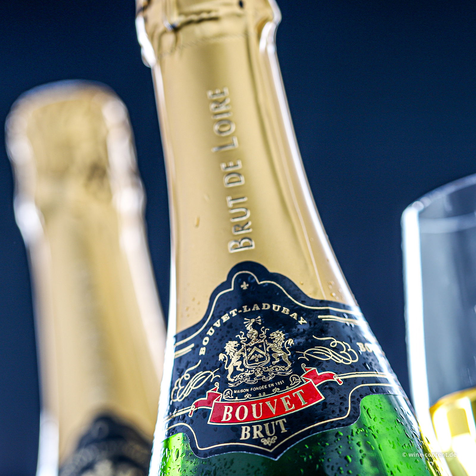 Crémant de Loire Excellence Brut