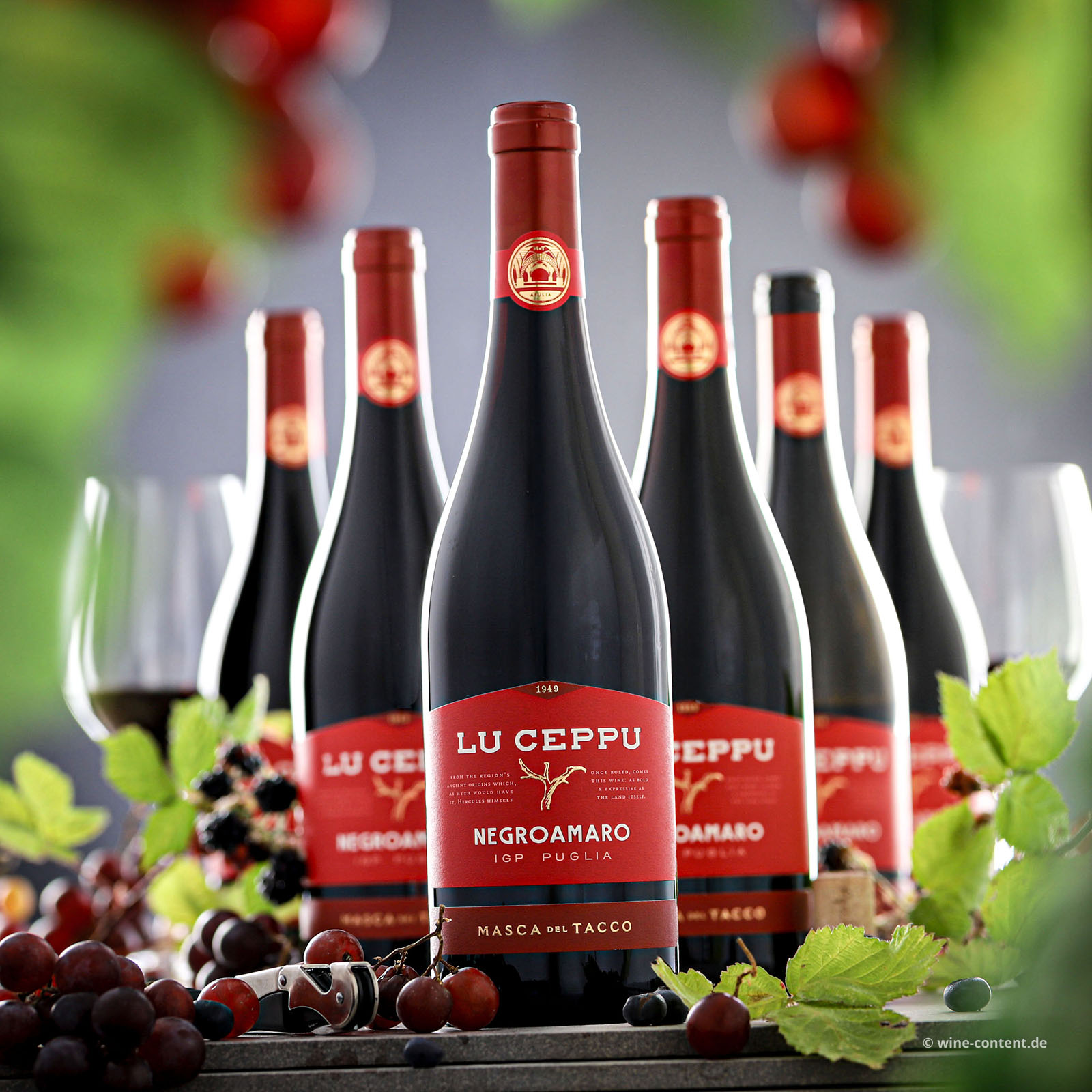 6er-Sparpaket Negroamaro 2025 Lu Ceppu