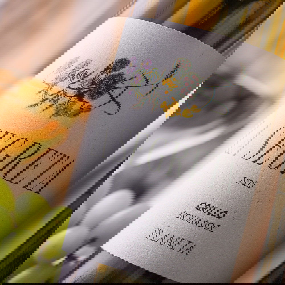 Grillo Sicilia 2025 La Segreta Bio