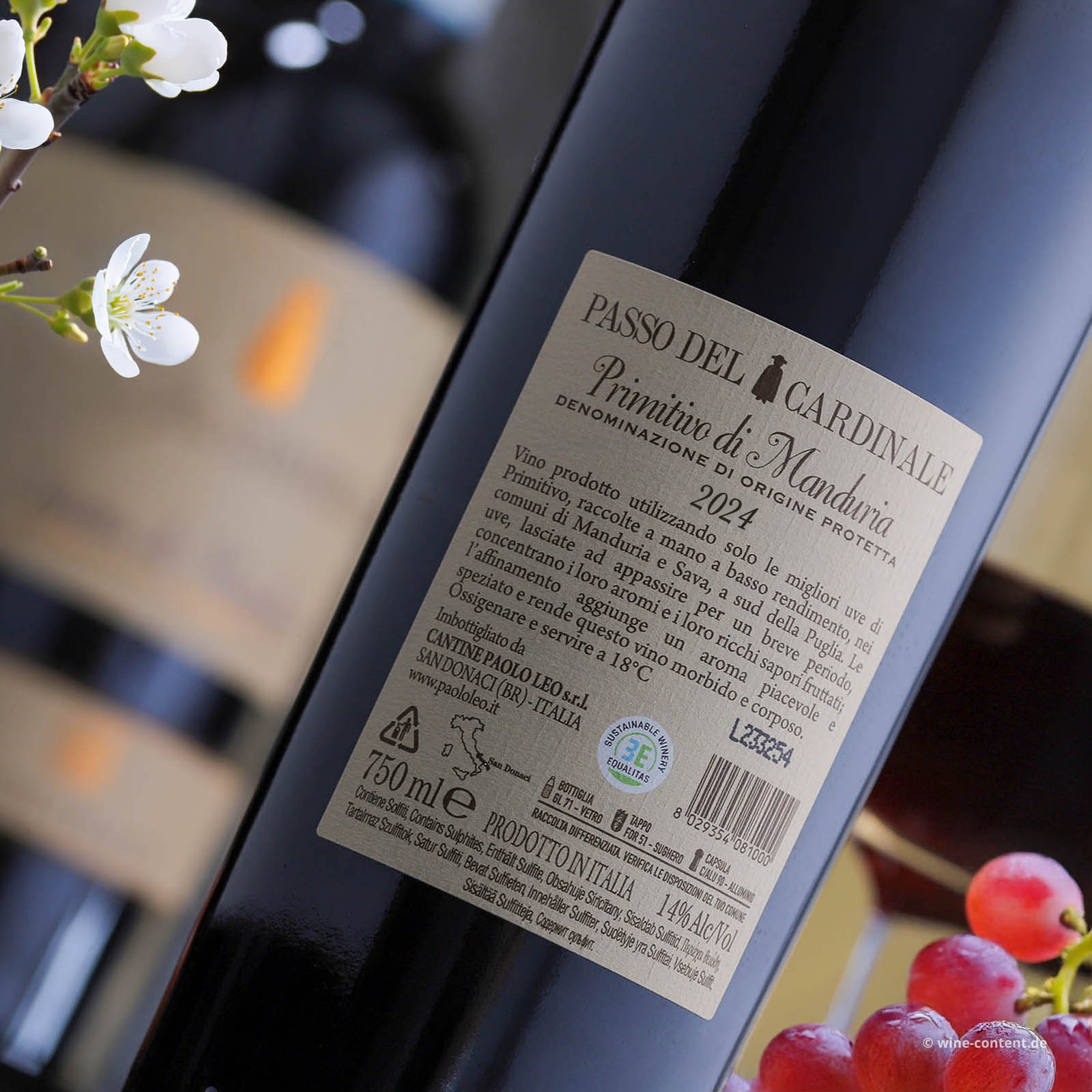 Primitivo di Manduria 2024 Passo del Cardinale